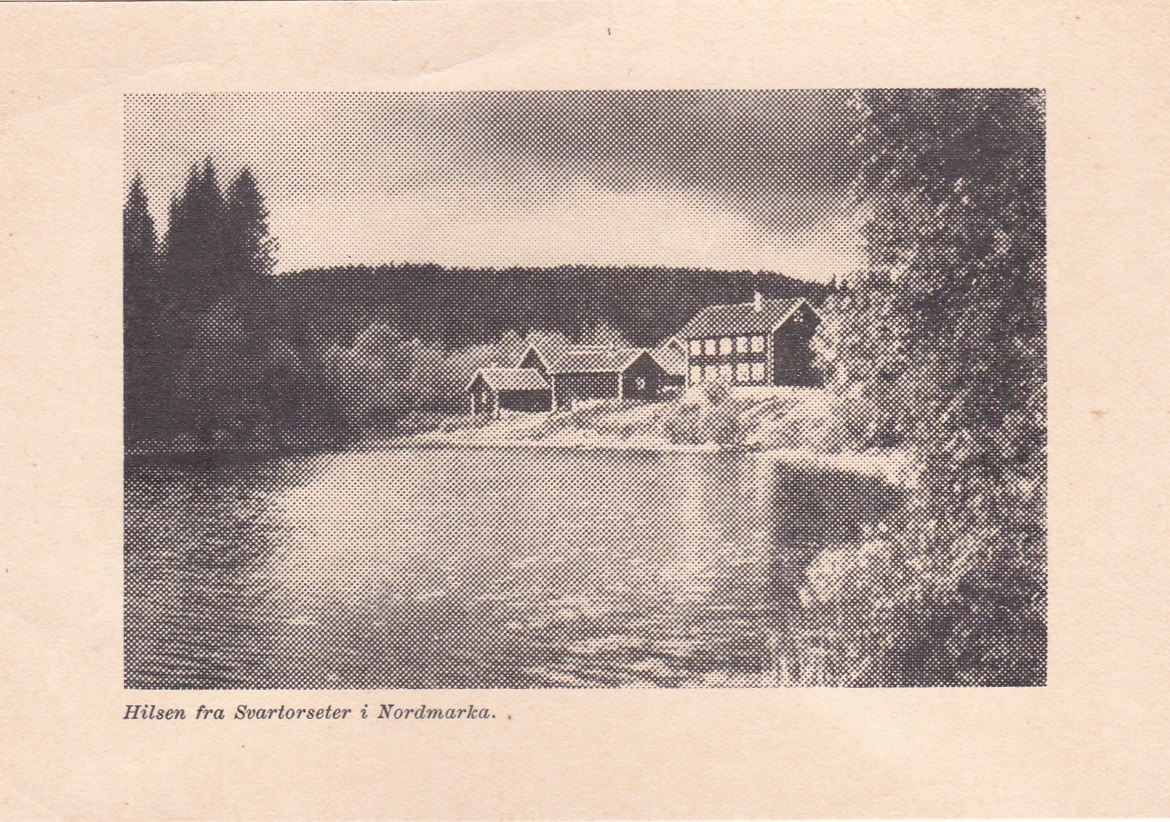 Svartorseter i Nordmarka