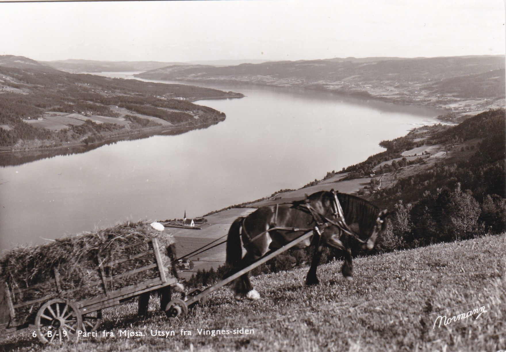 Parti fra Mjøsa. Utsyn fra Vignes-siden. Hest og høyvogn(Normann 6-B-9)