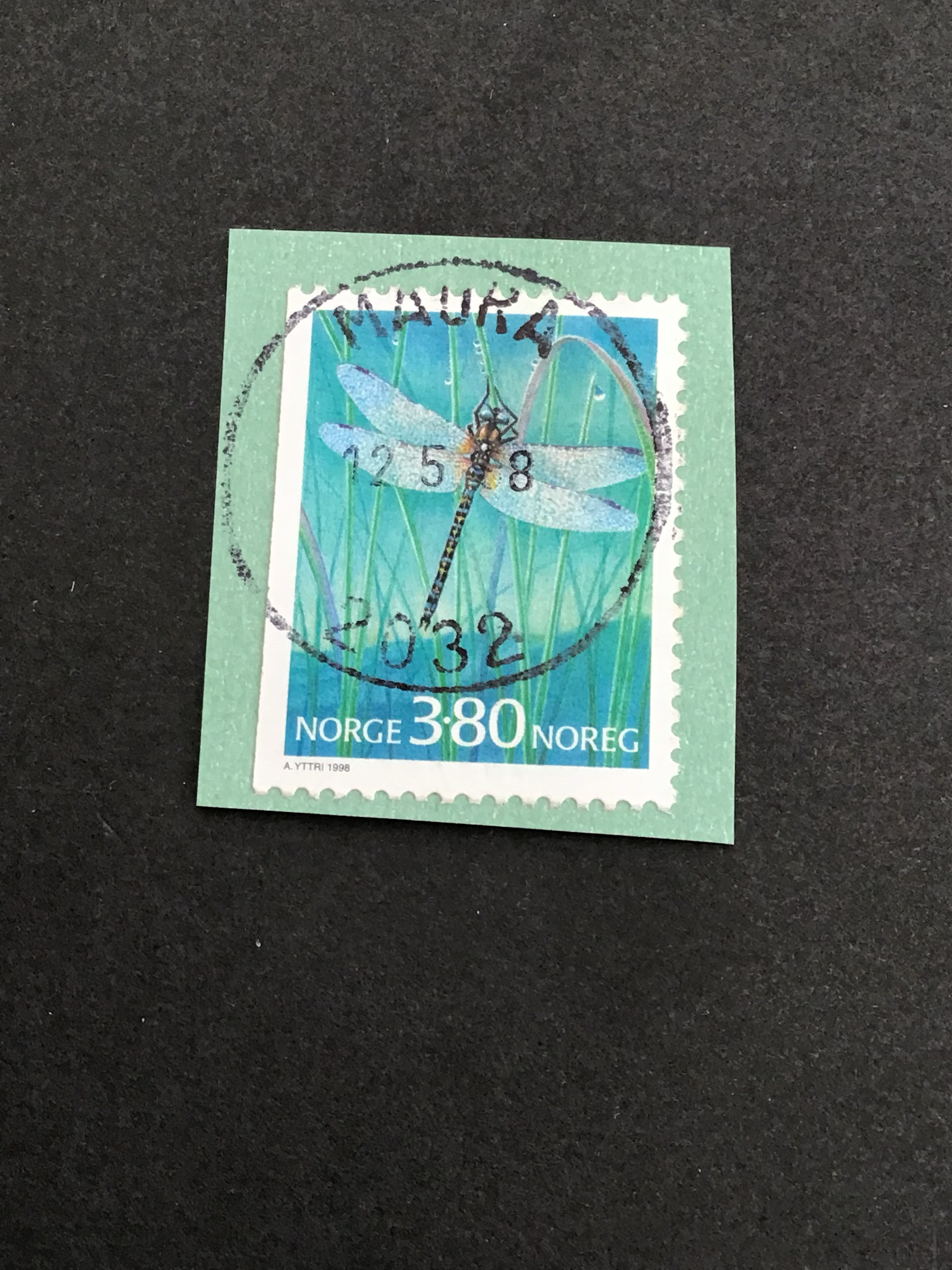 Maura 12 5 98