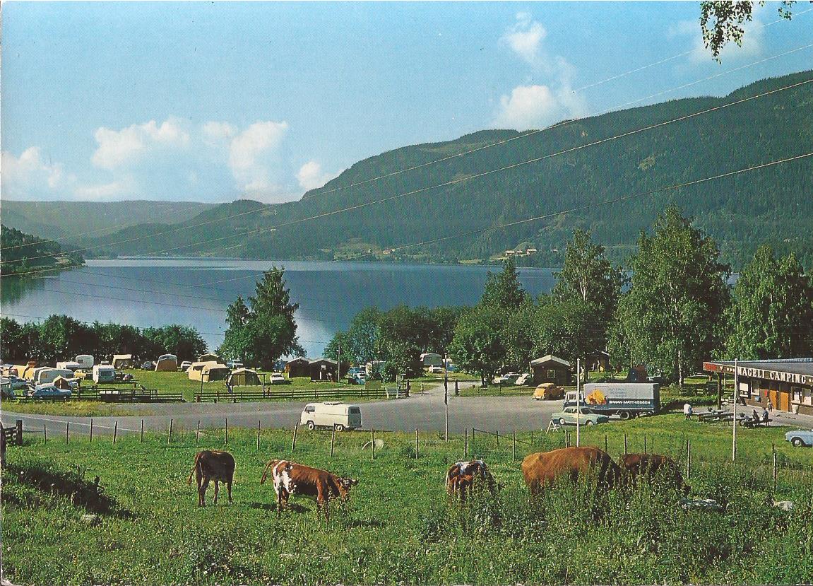 Postkort -Mageli camping Tretten