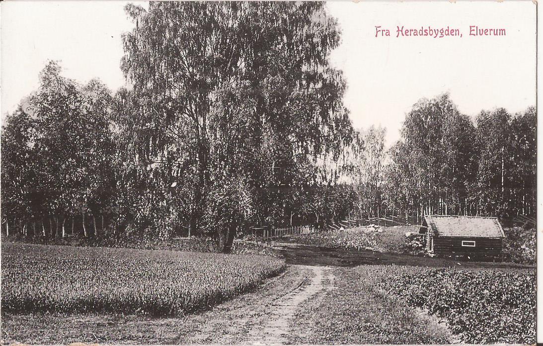 Postkort - Fra Heradsbygden Elverum -