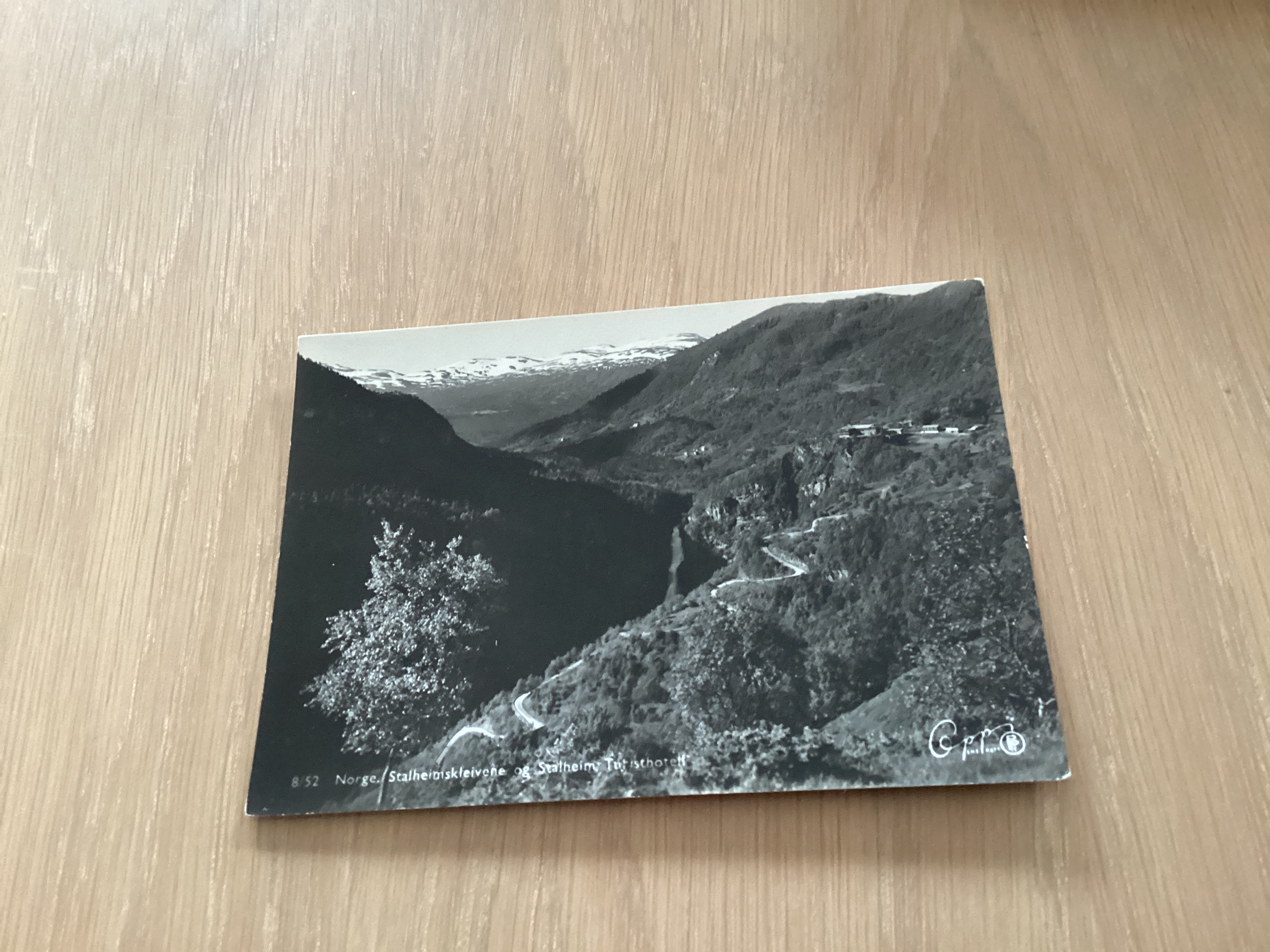 STALHEIMSKLEIVENE