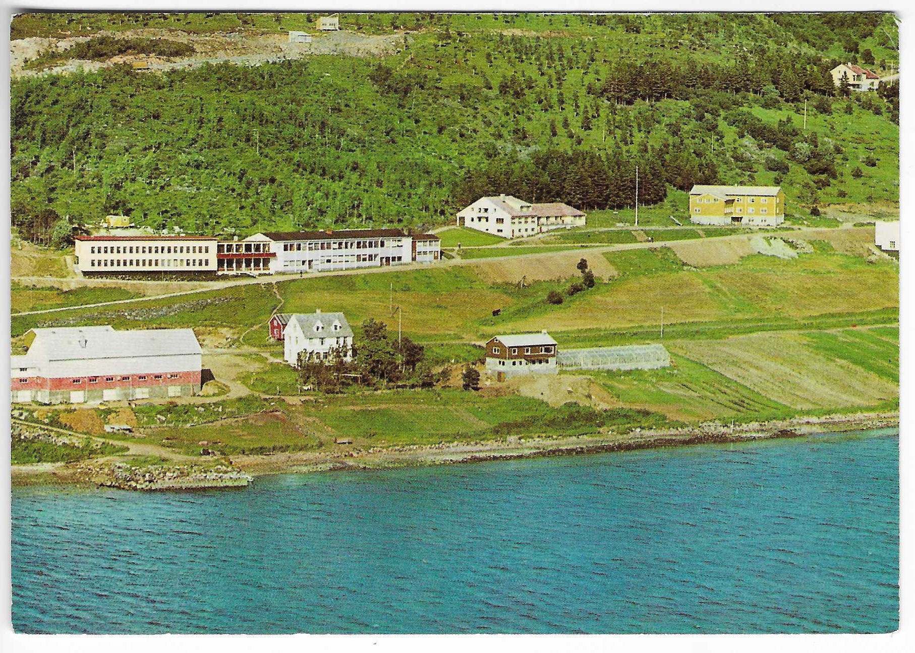 Trastad Gård. Nord Norges Åndssvakehjem.Borkenes.60t. Norrønafly