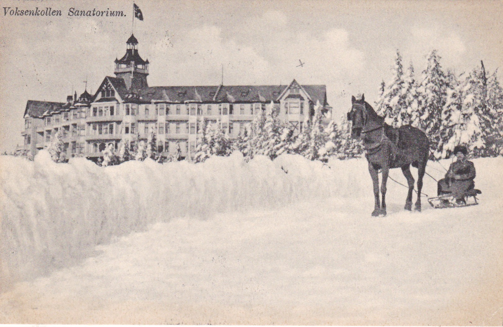 Voksenkollen Sanatorium. Hest drar kjelke