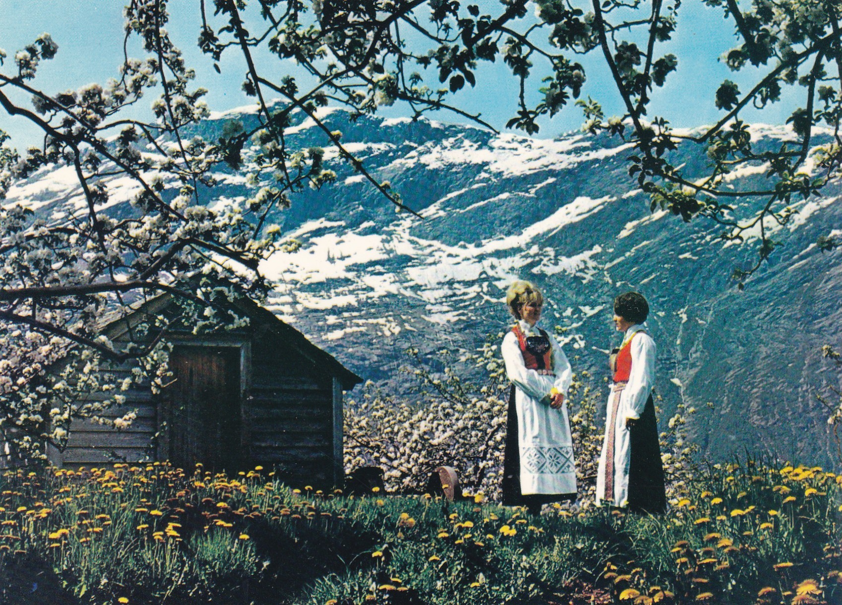 Piker i nasjonaldrakter fra Hardanger ( Aune F-5057-1)