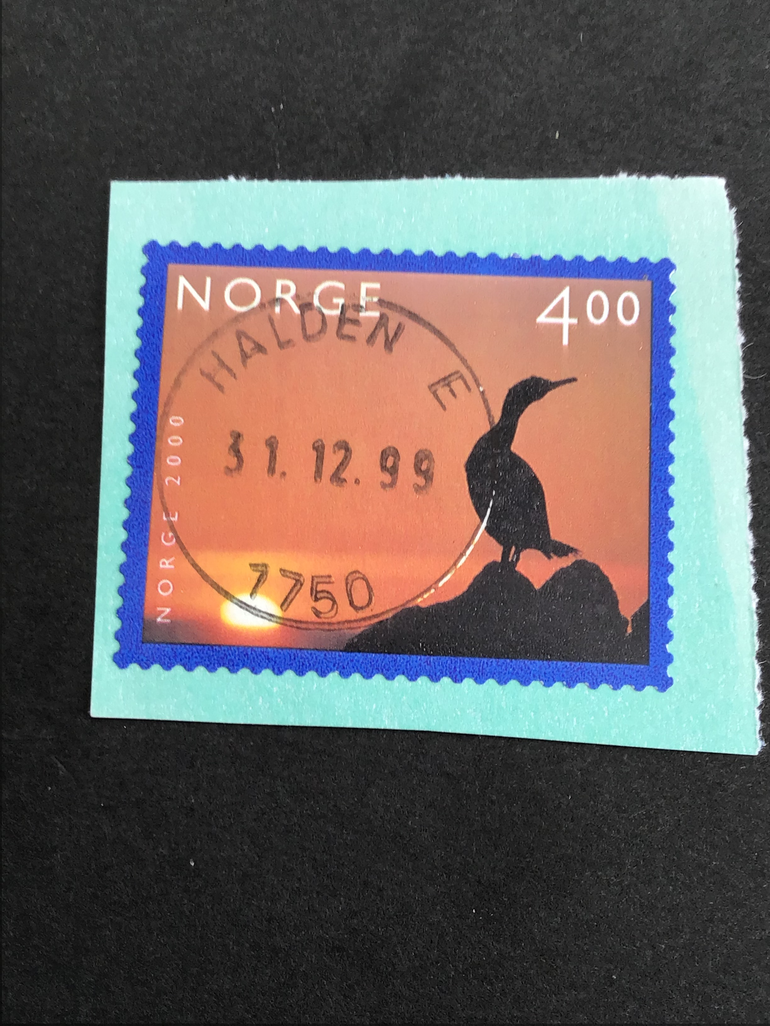 Halden. 31 12 99
