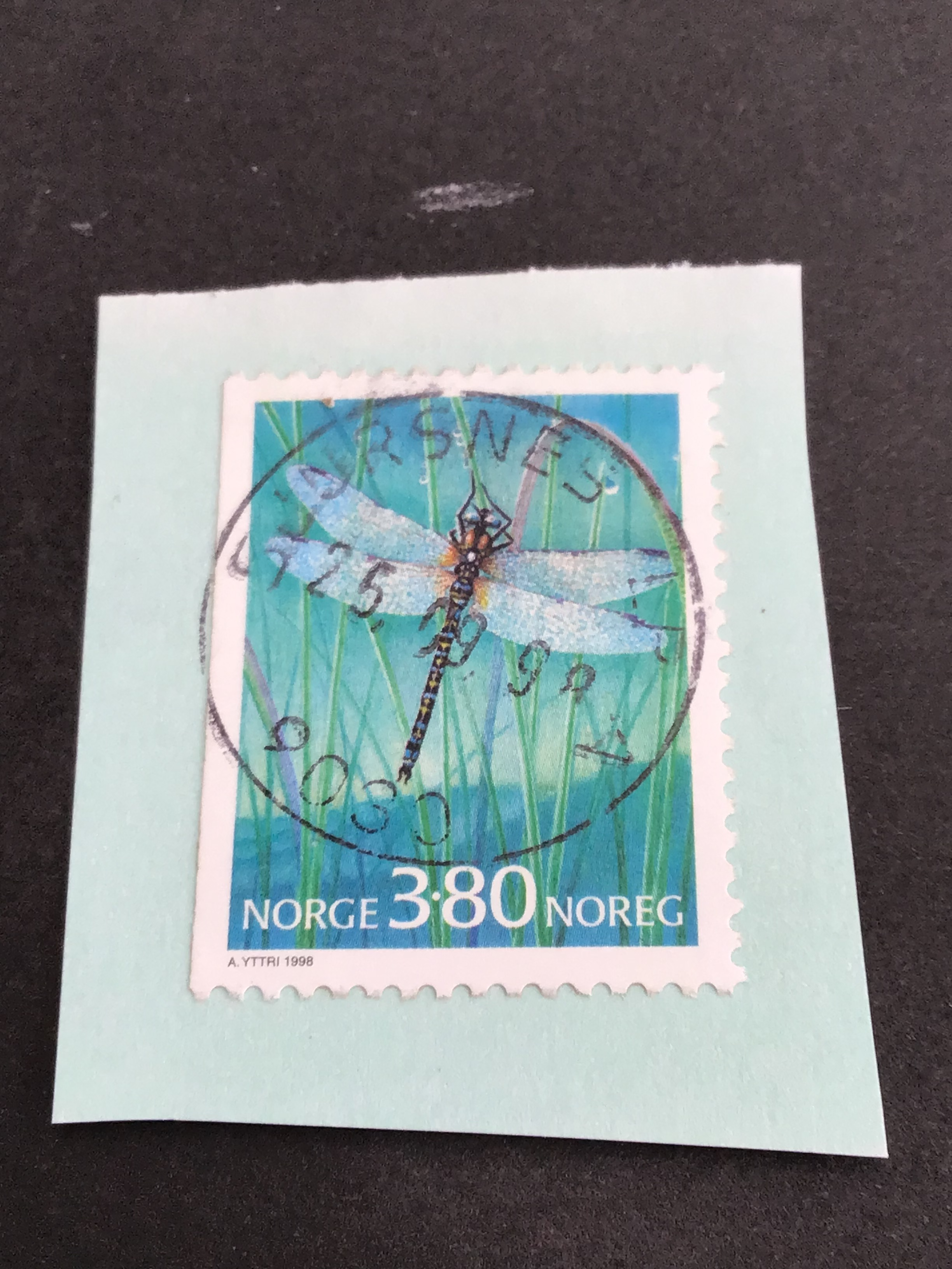 Sjursnes. 25 09 98