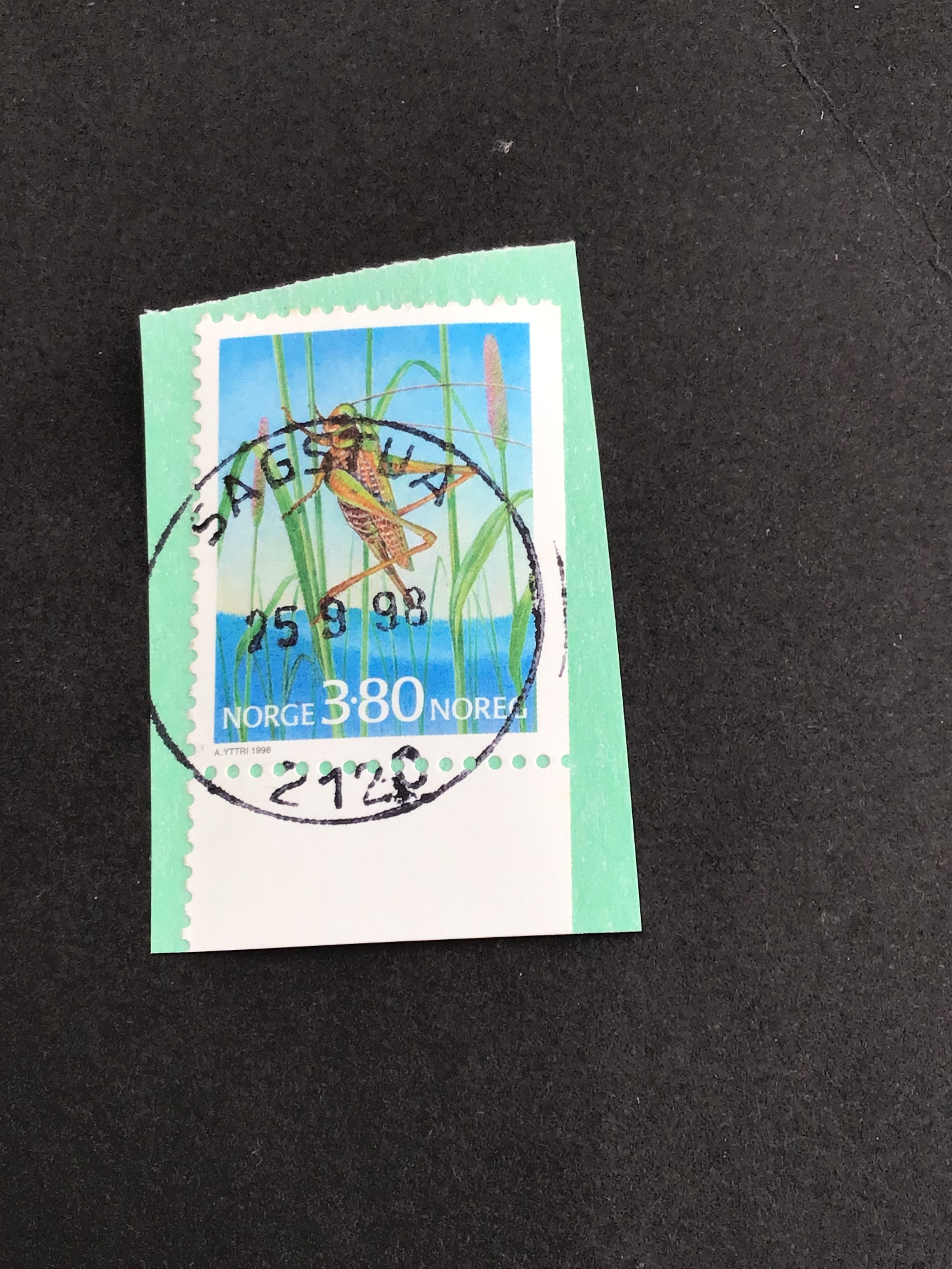 Sagstua. 25 9 98