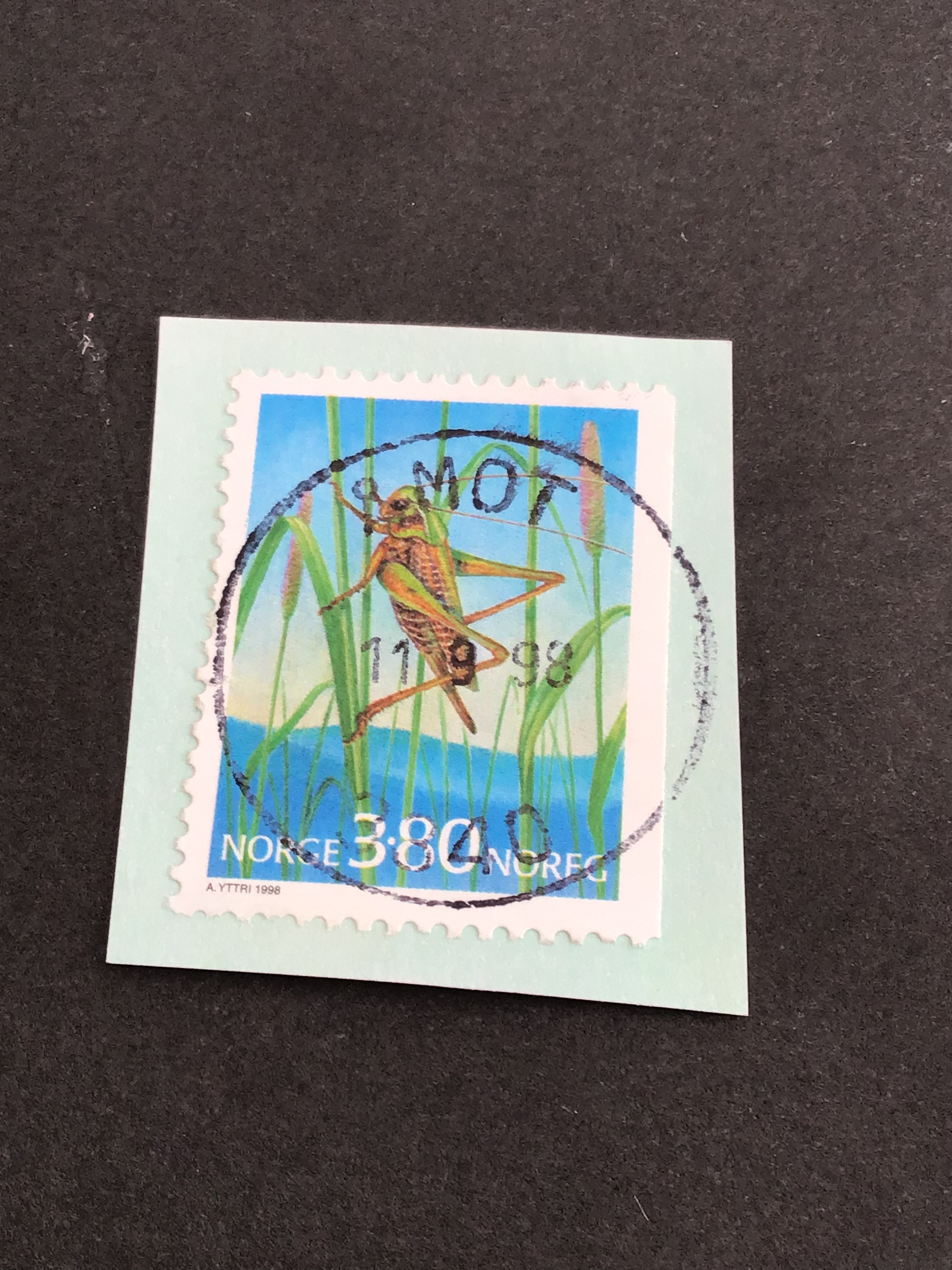 Åmot.  11 9 98