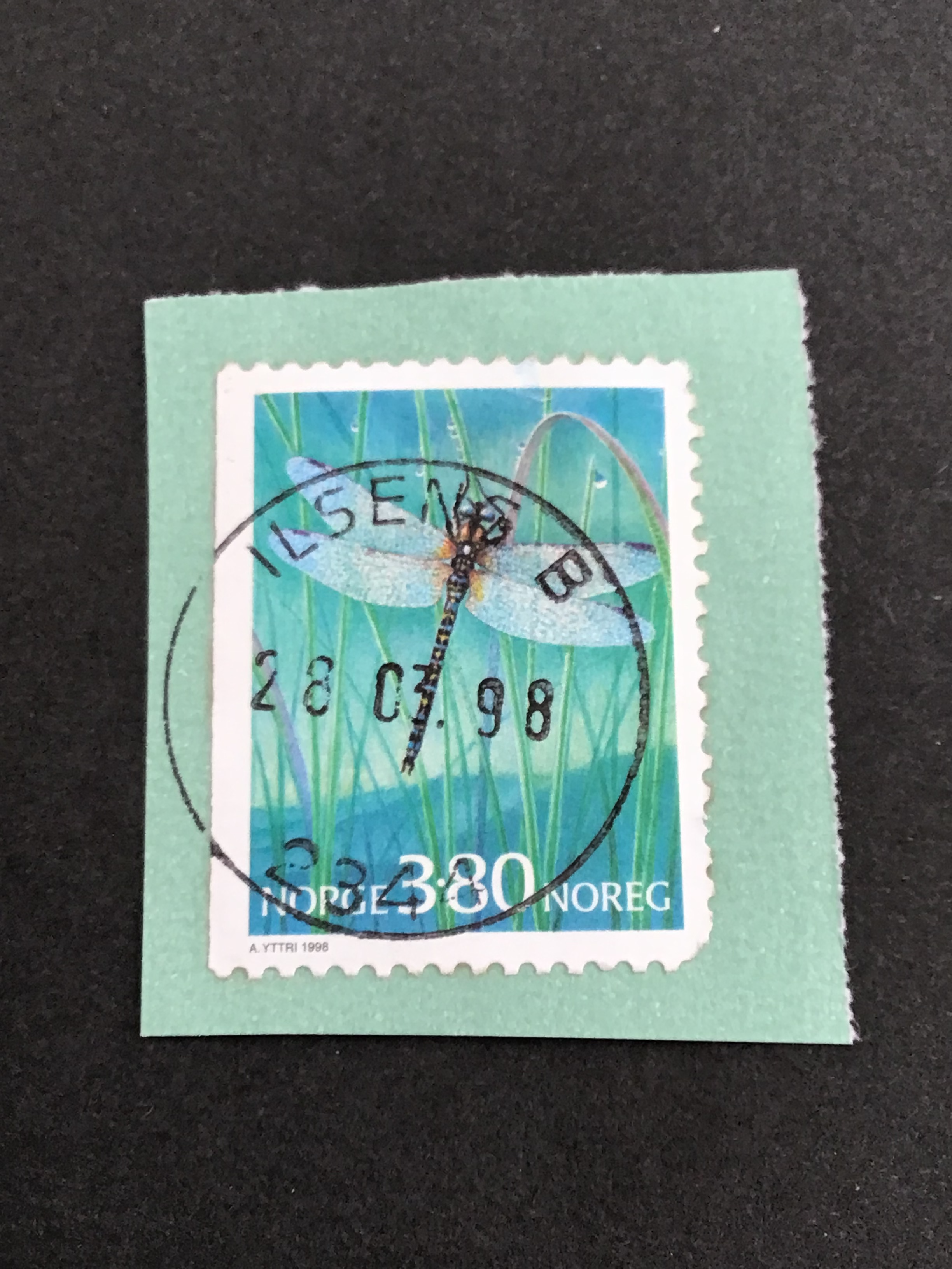 Ilseng. 28 03 98