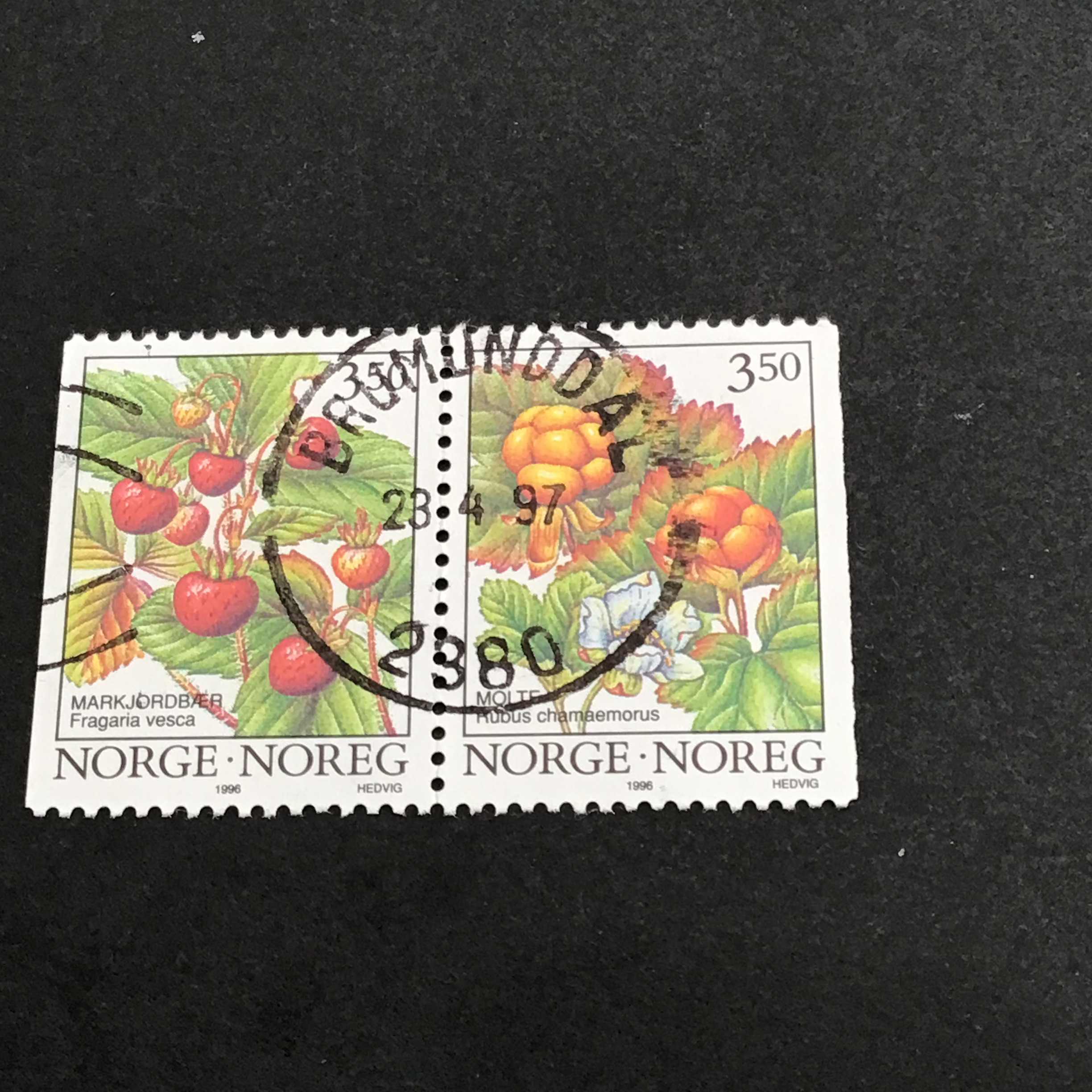 Brumunddal.par nr. 1.  09 6 98