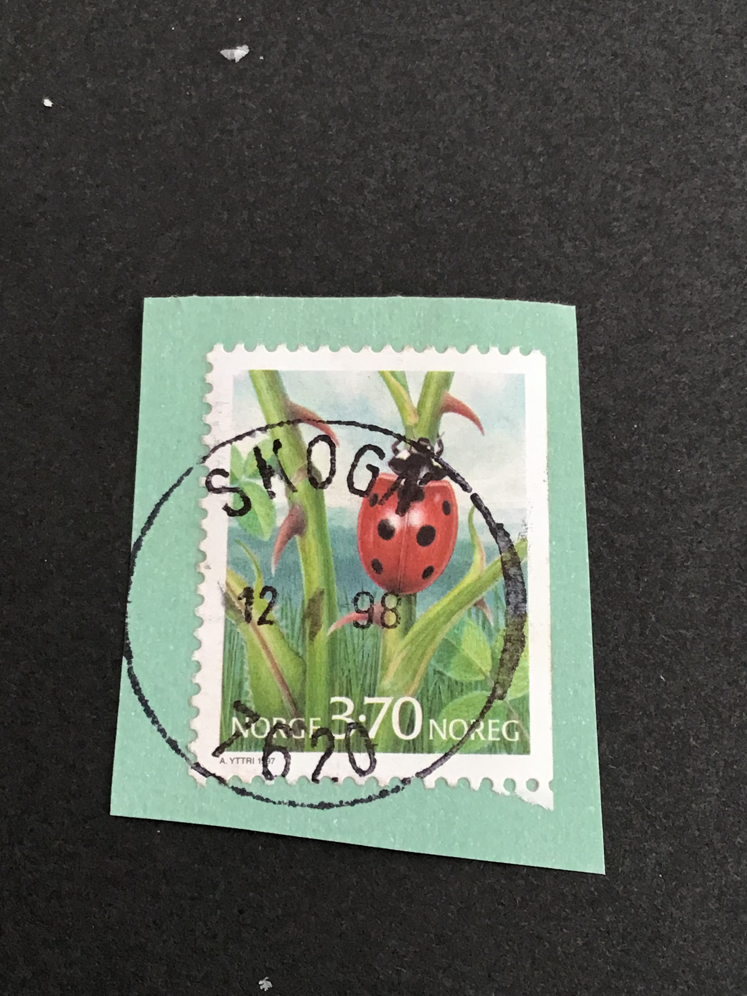 Skogn. 12. ? 98