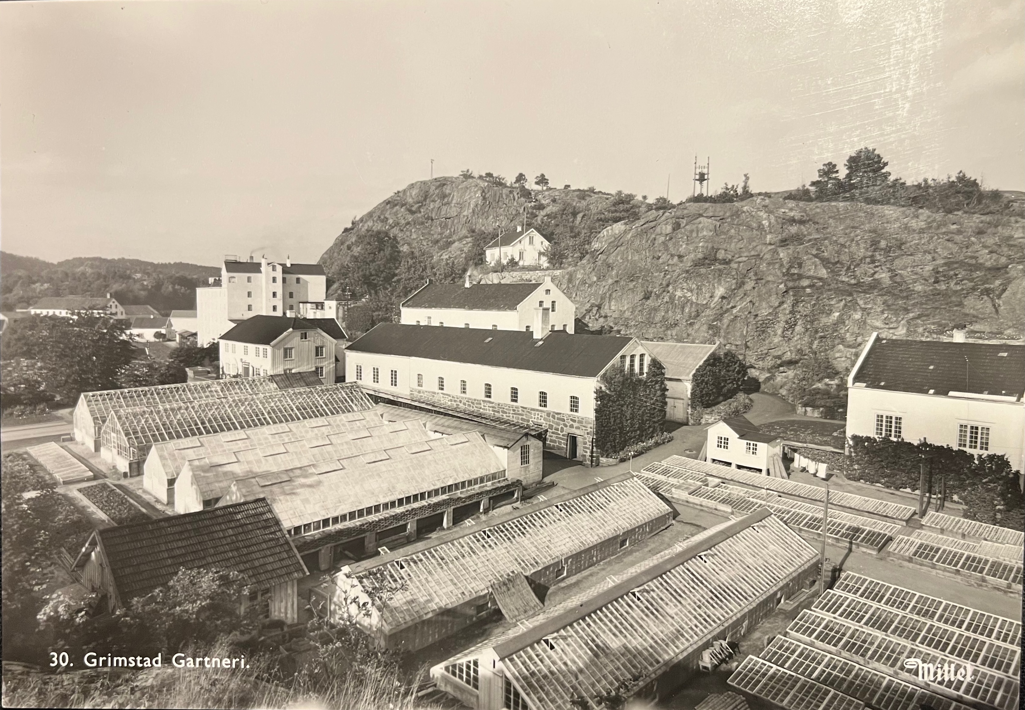 Grimstad Gartneri