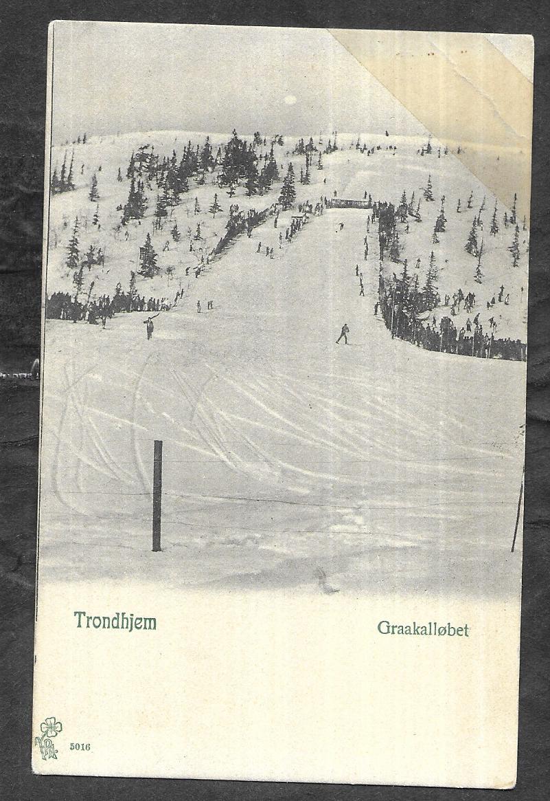 Trondhjem. Graakalløbet. - PA 5016 - [342]
