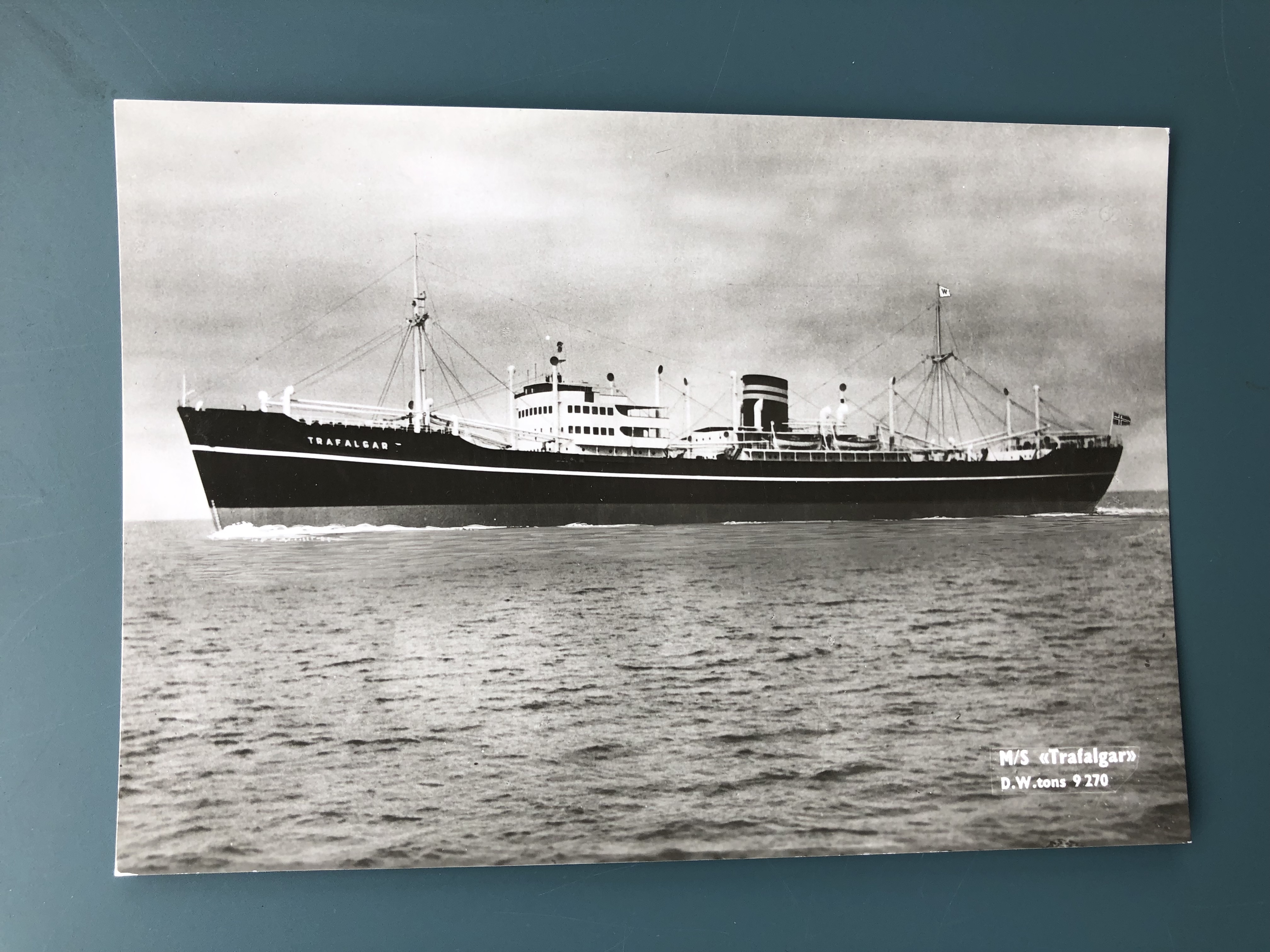 M/S "Trafalgar" - Wilhelmsen Lines - ubrukt