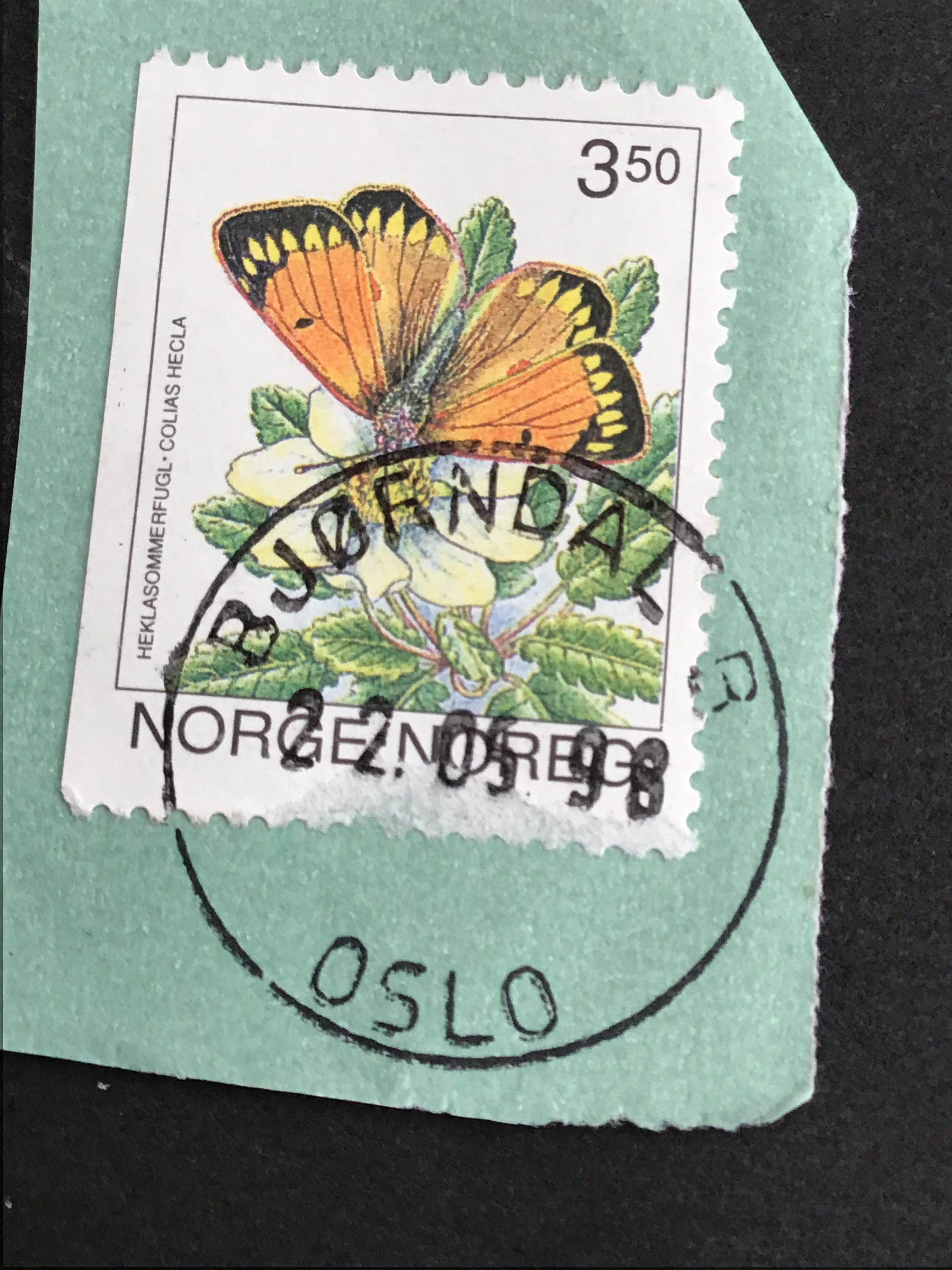 Bjørndal. 22 05 98