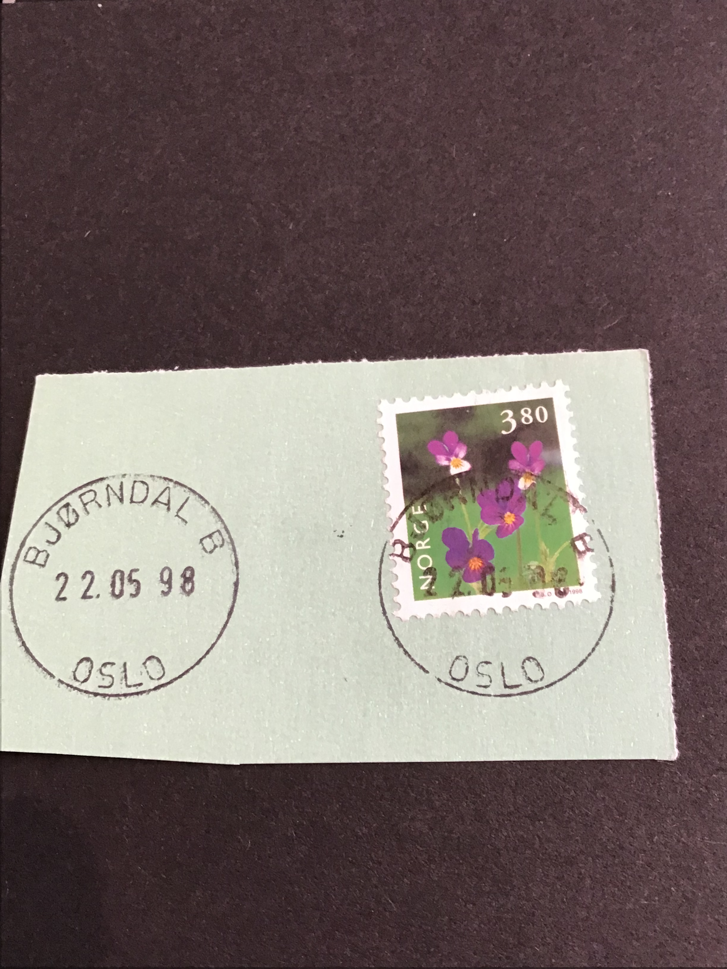 Bjørndal nr 2. 22 05 98
