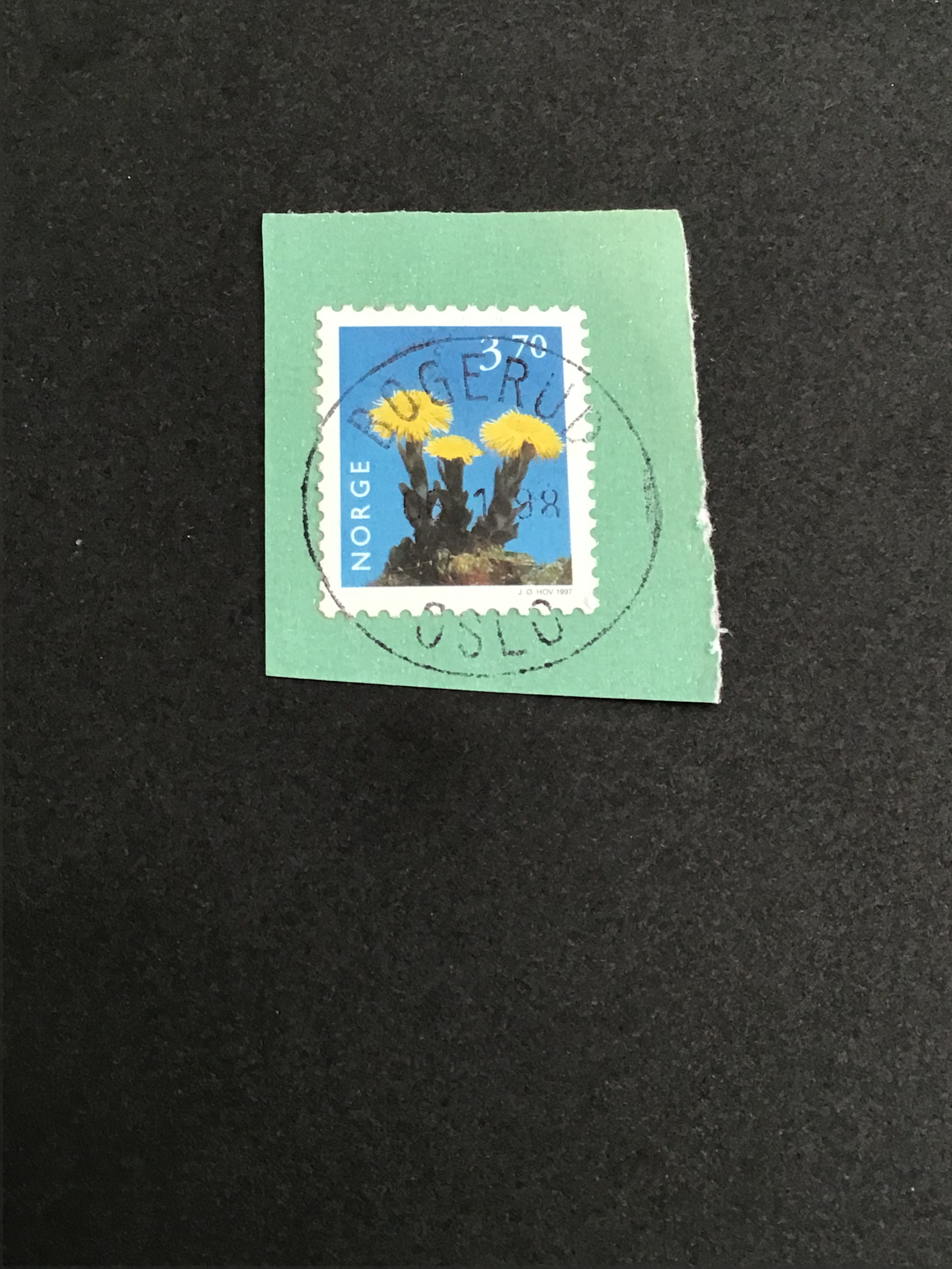 Bogerud. 08 1 98