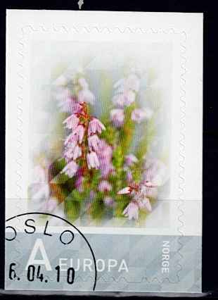 NK 1748. PENT STEMPLET