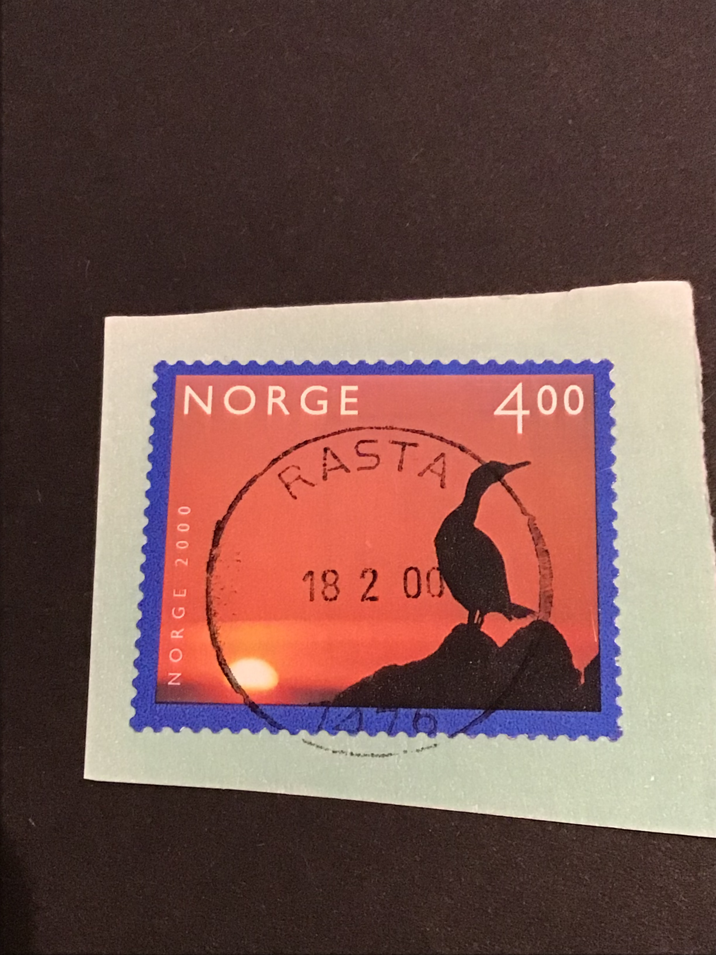 Rasta  18 2 00