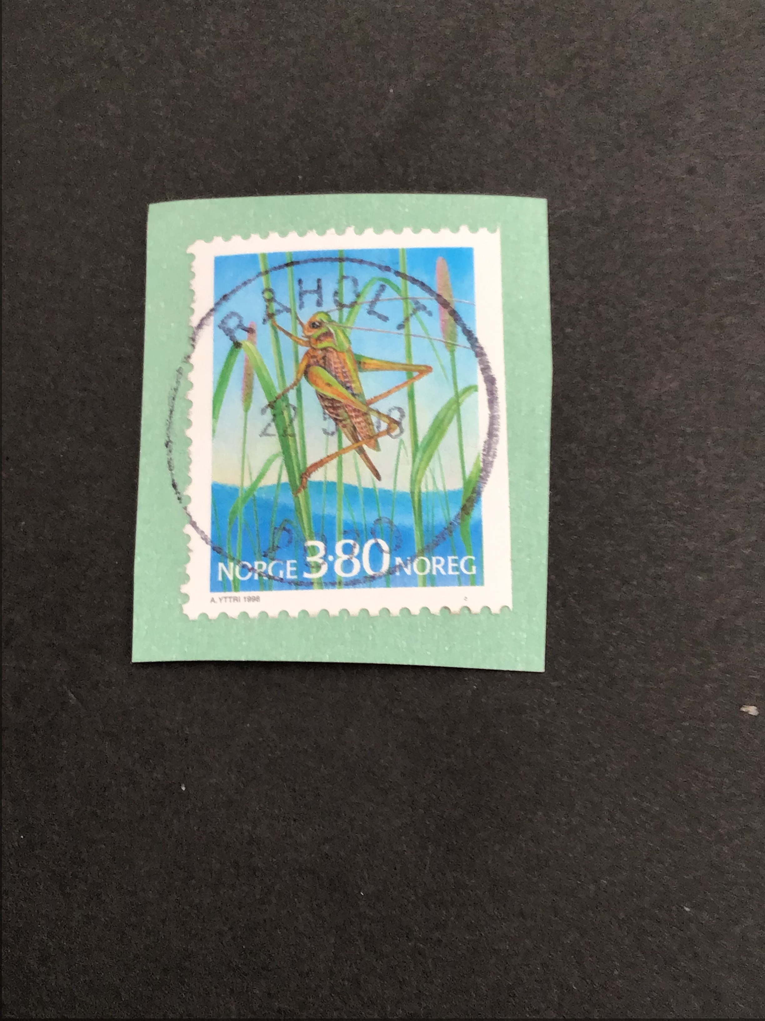 Råholt. 22 5 98