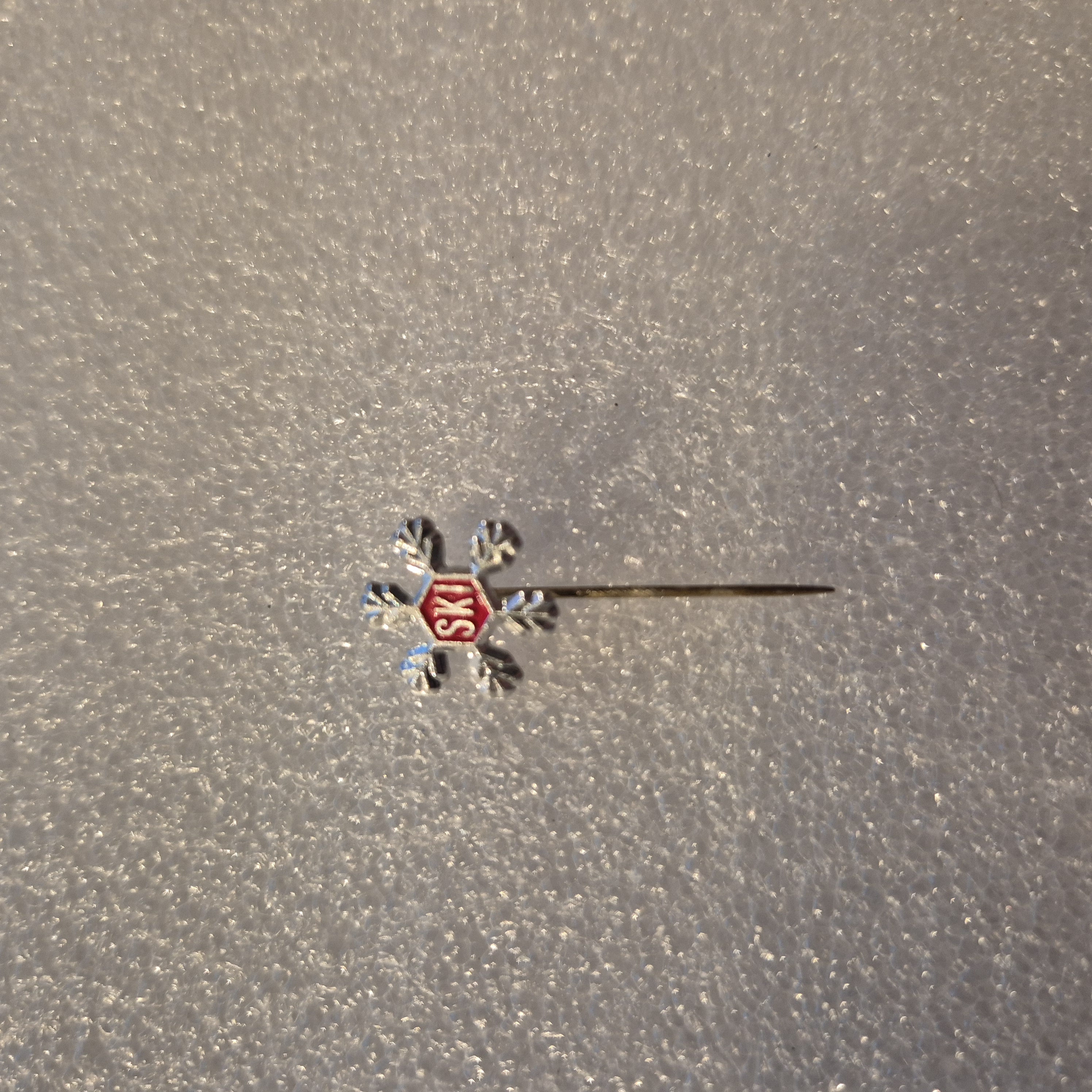 Ski (rød)
