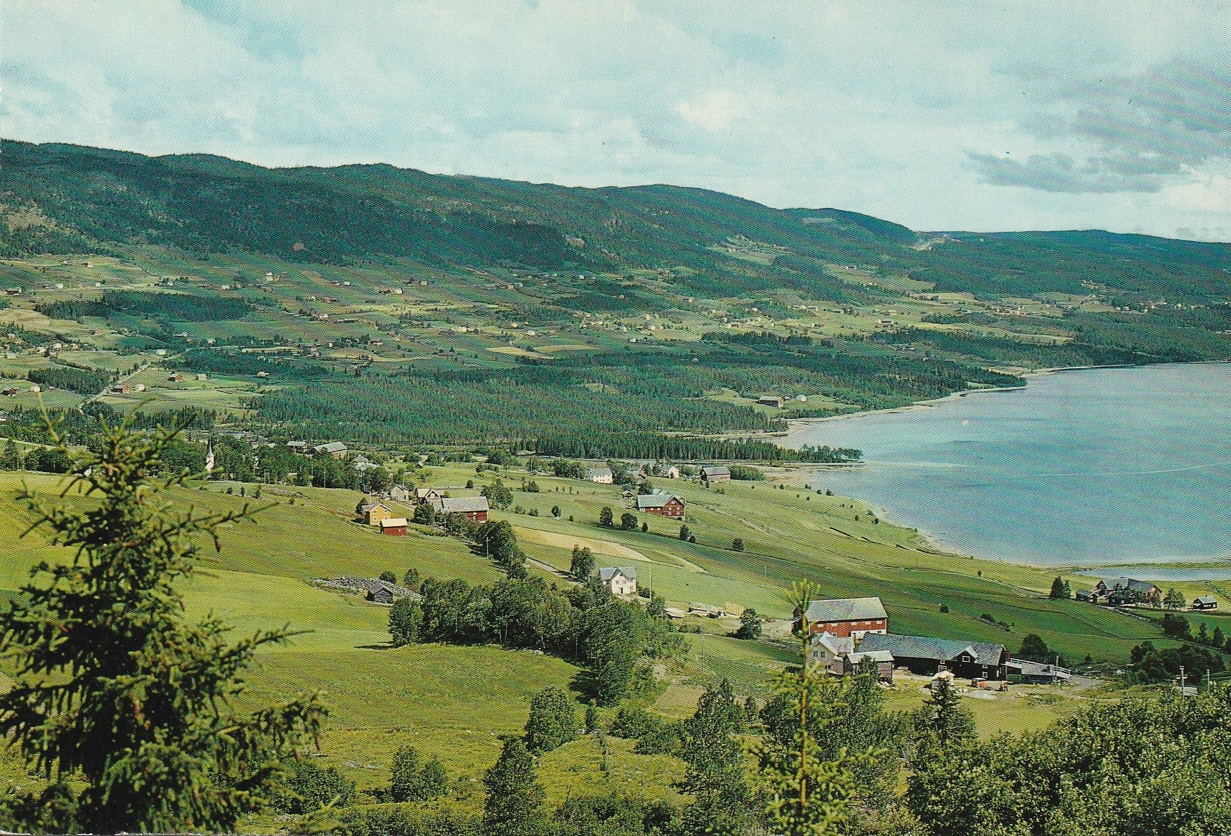 Eldre kort : Parti fra Volbu mot Rogne , Øystre Slidre . Valdres . Normann G-34-42