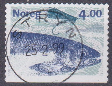 Nk 1350 Bn. Stryn 25-2-99