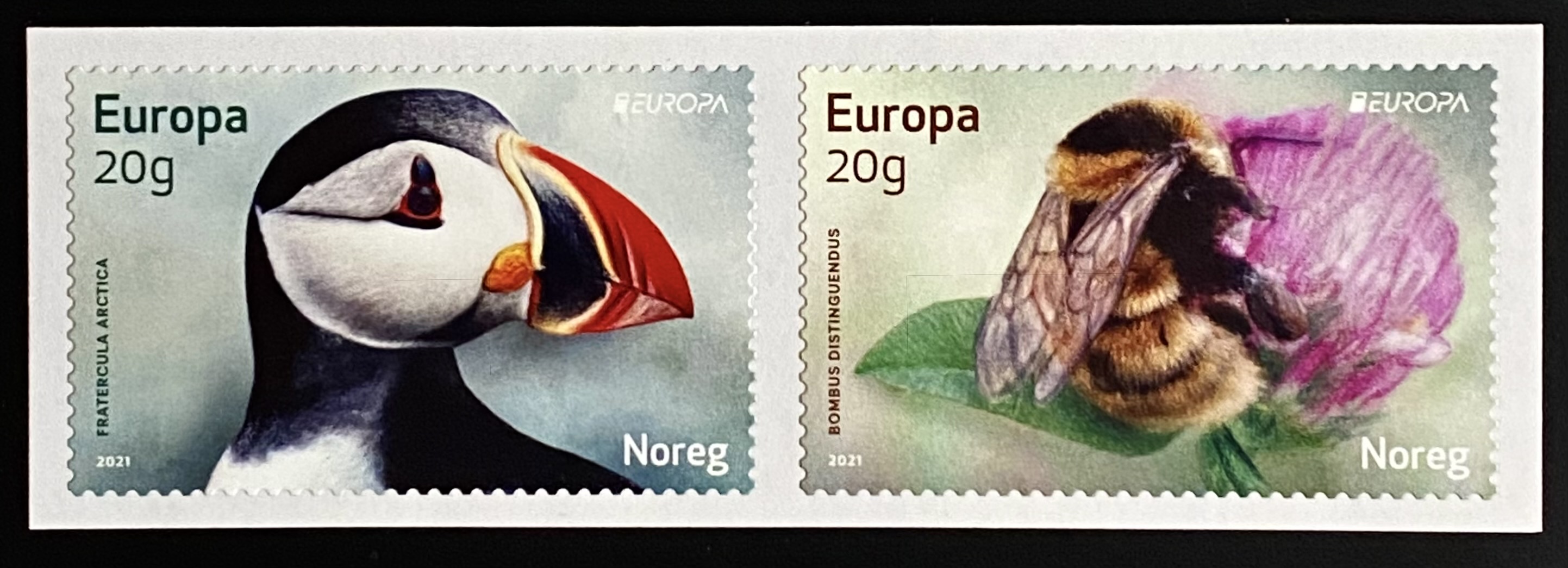 NK 2049-2050 År 2021 ** Postfrisk