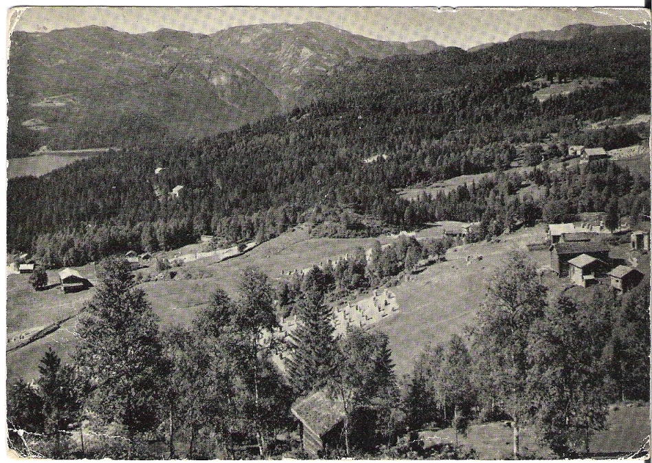 Bøgrend, Vinje etter 1950. Skiens Papirindustri B 104