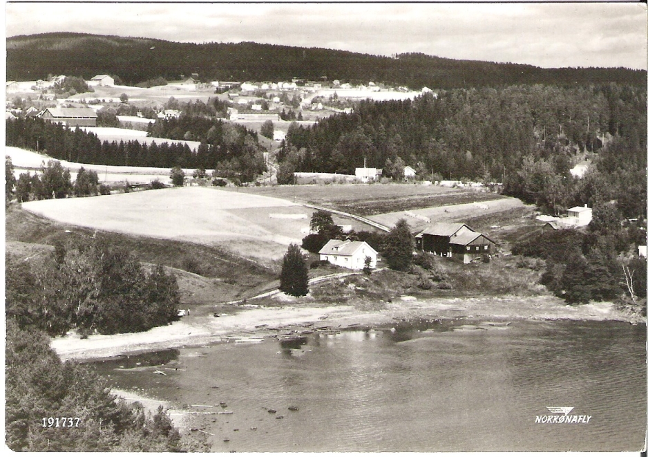 Gård på Ringerike? Norrønafly 191737