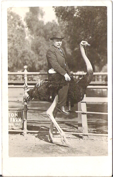 Roosevelt?