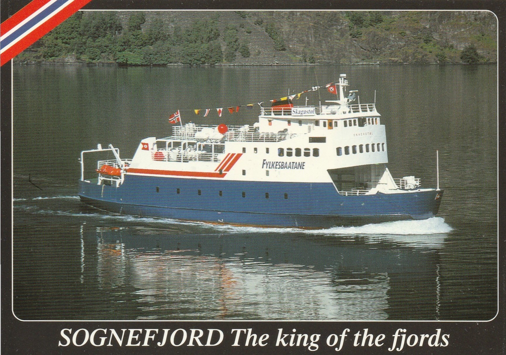 Sognefjord. Kongen blandt fjorder.  Vikesland 501