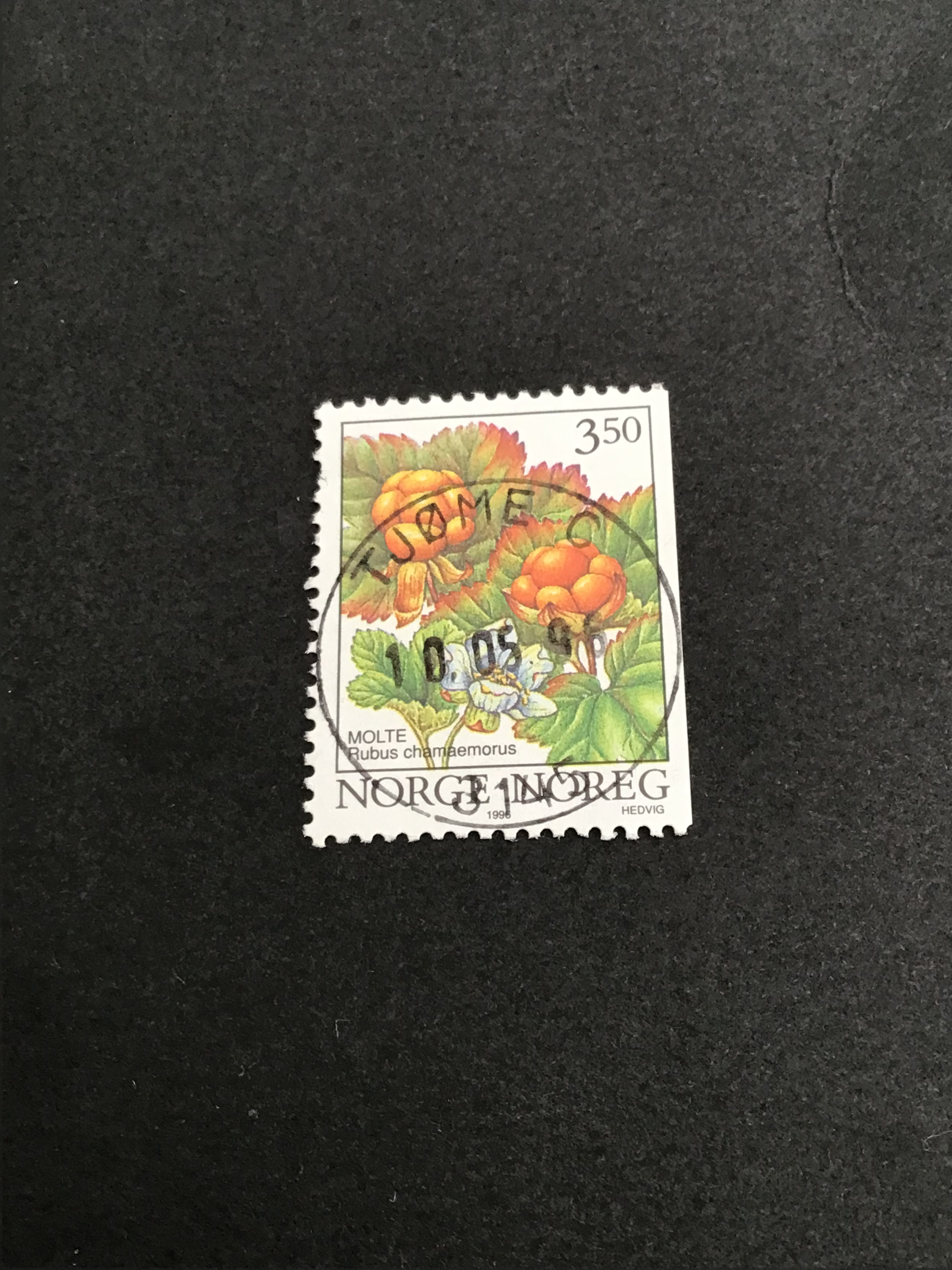 Tjøme. 10 05 97