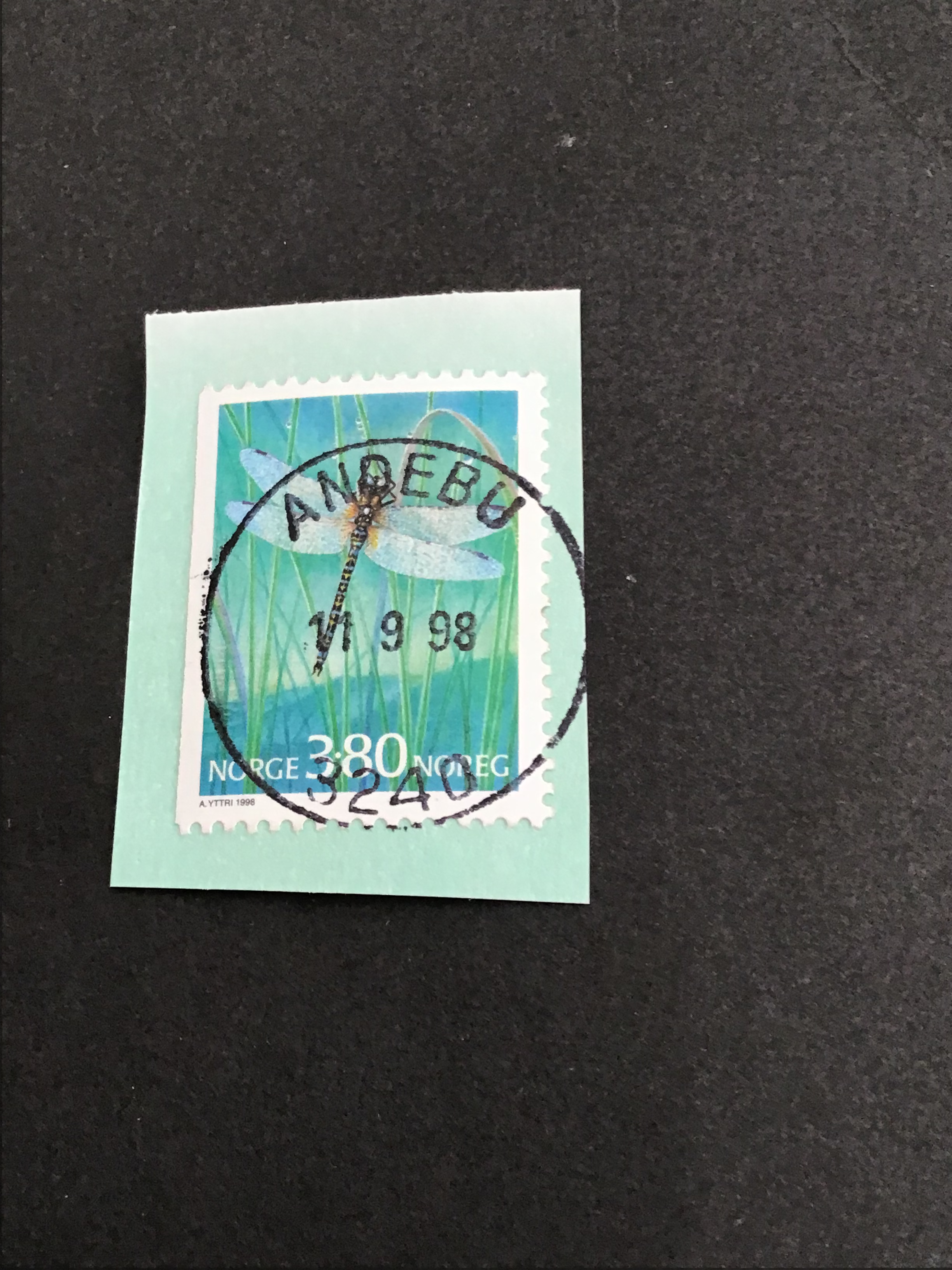 Andebu. 11 9 98
