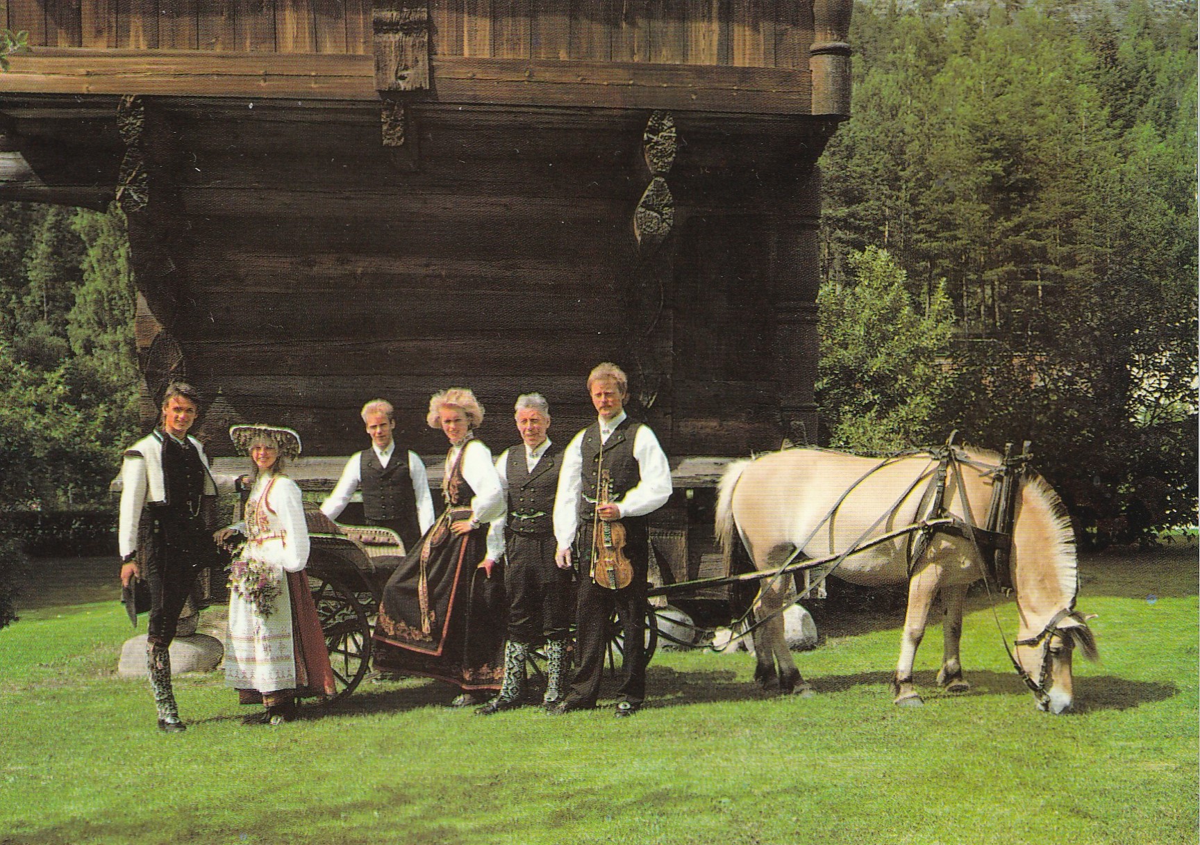 Bondebryllup i Telemark. Aune F-15336-4