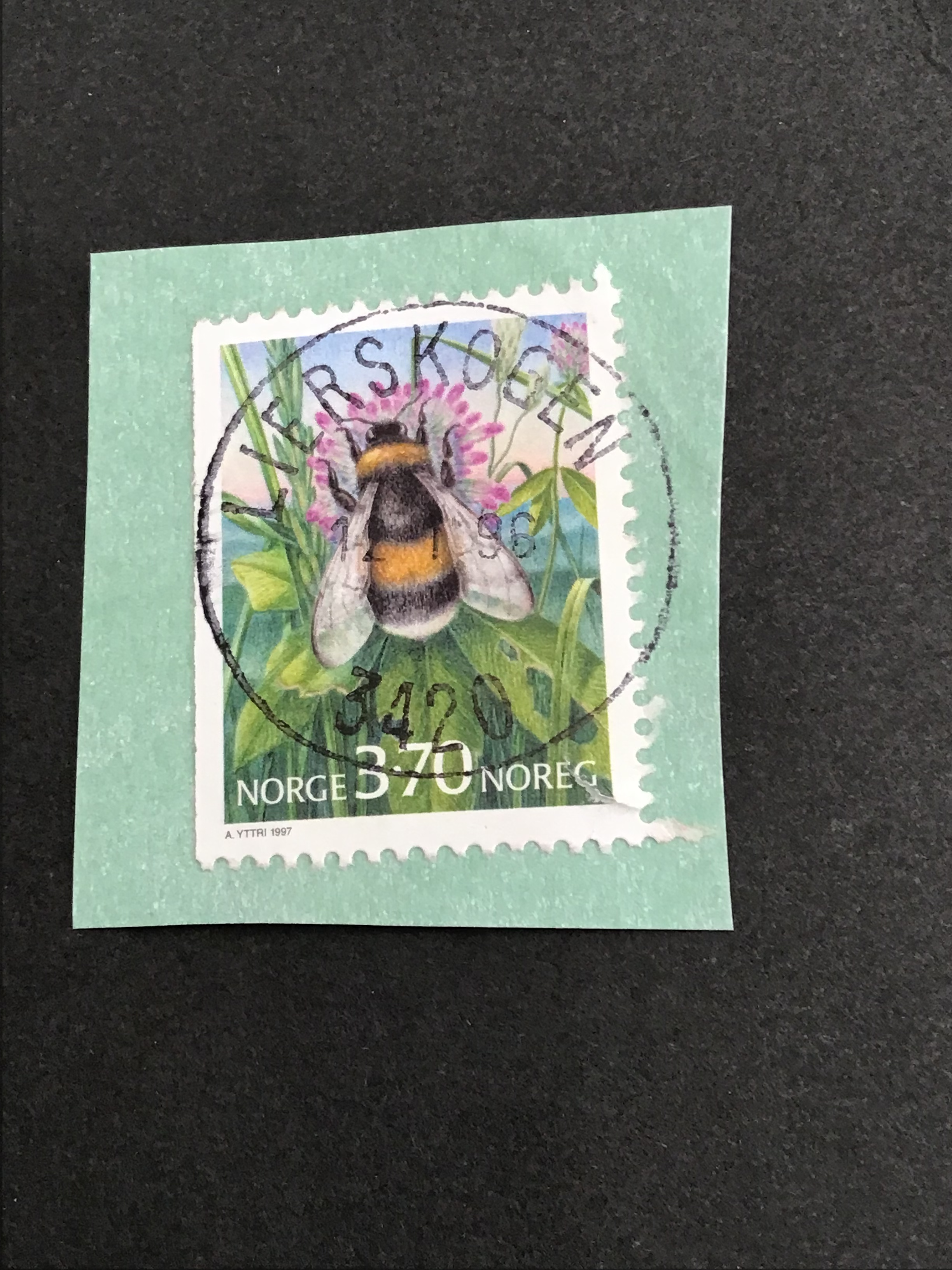 Lierskogen. 12 1 96