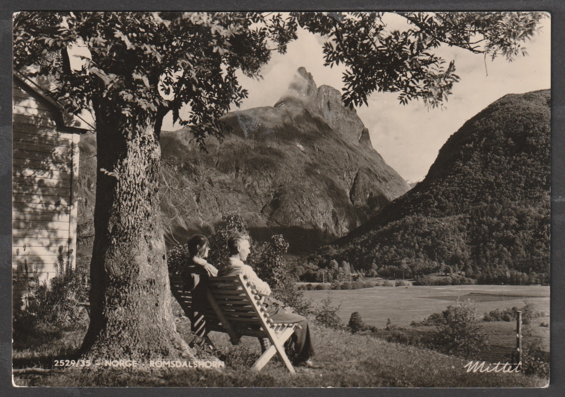 Romsdalhorn. Mittet 2529/35
