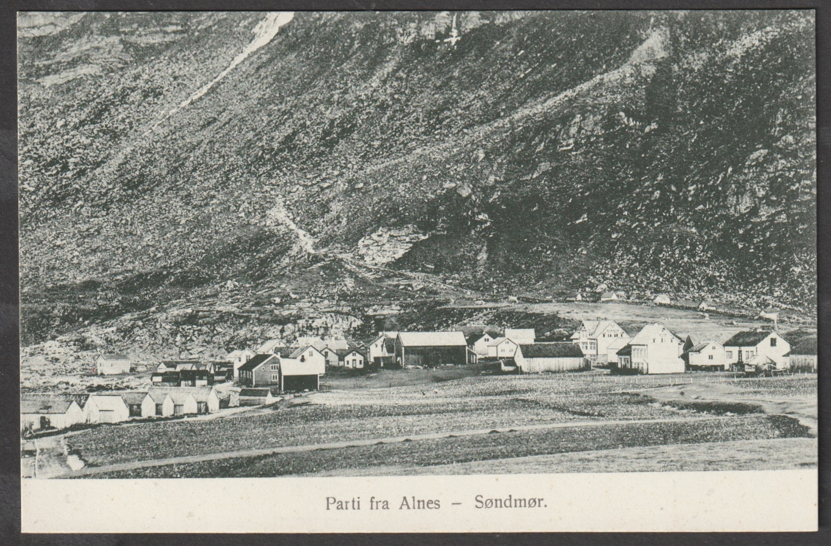 Parti fra Alnes. Steinkopf Wold 229
