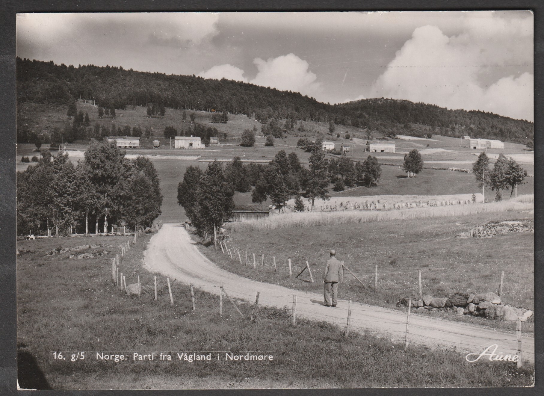 Vågland i Nordmøre. Aune 16, g/5
