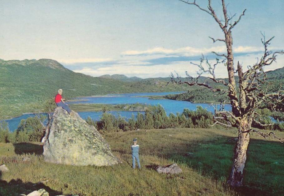 Parti fra vegen Rauland-Møsvatn, ubrukt (5850)