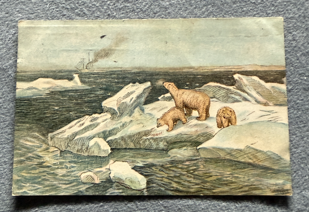 Thorolf Holmboe (NK 3005)