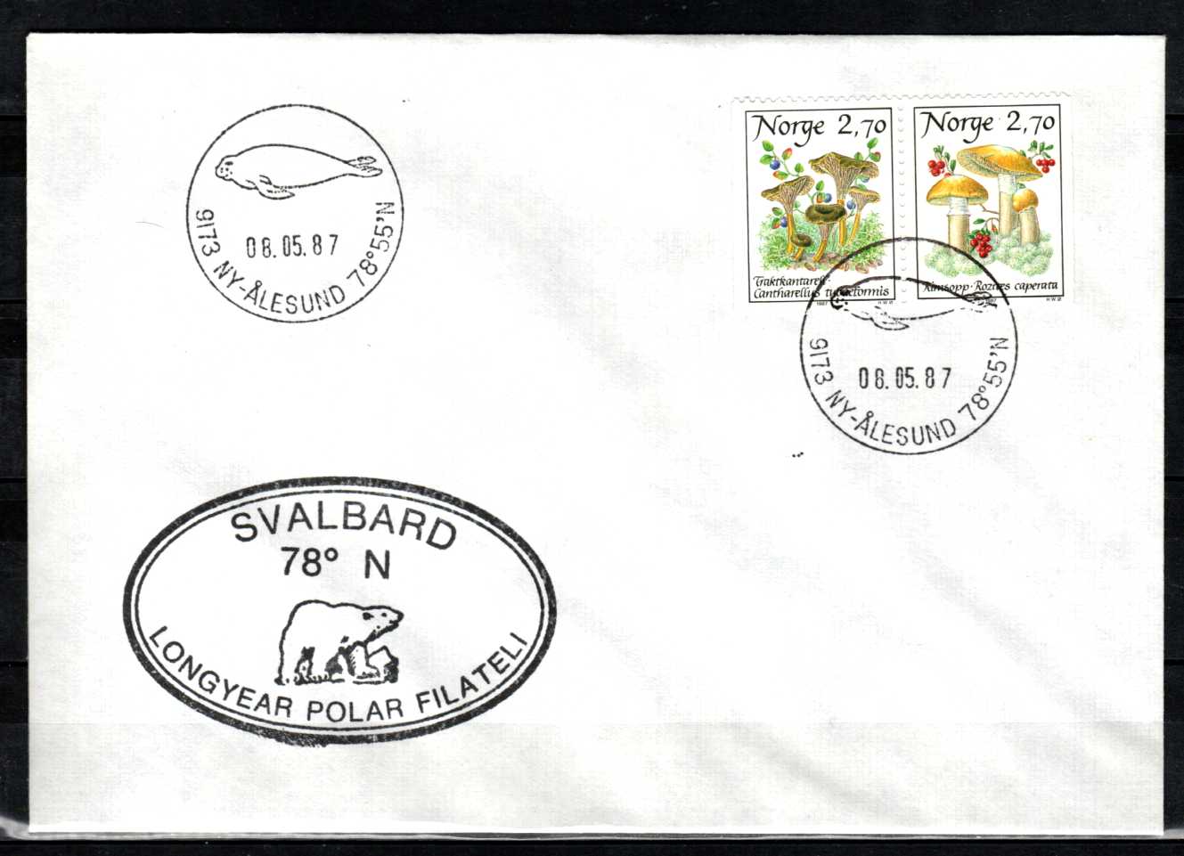 FDC HK 1017-18 stemplet Ny-Ålesund