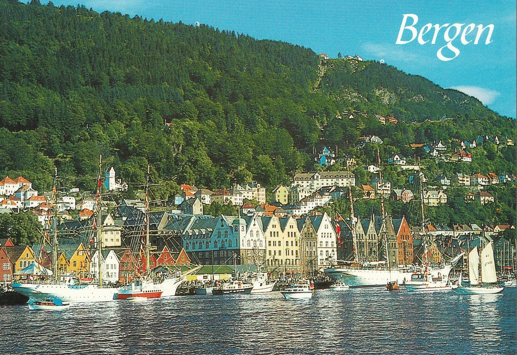 Bergen .  Aune F-15856-5