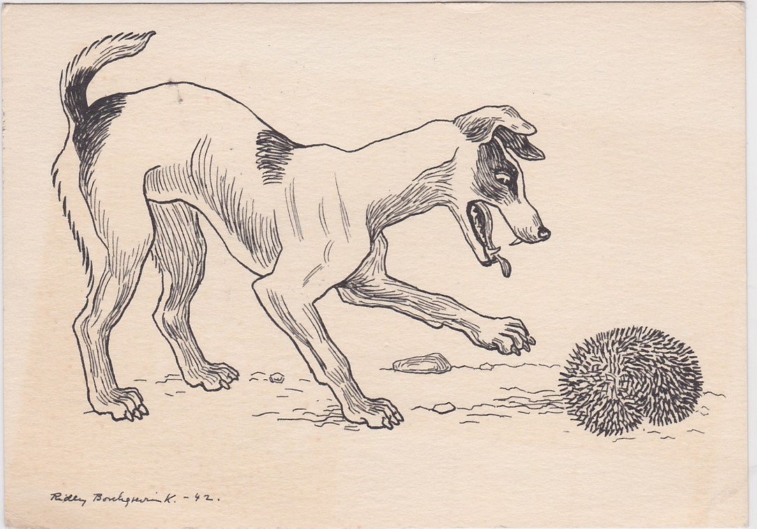 Ridley Borchgrevink -42-Hund og pinnsvin-Postlagt 1946-Enerett Oppi-3 pene frimerker med krigsskip