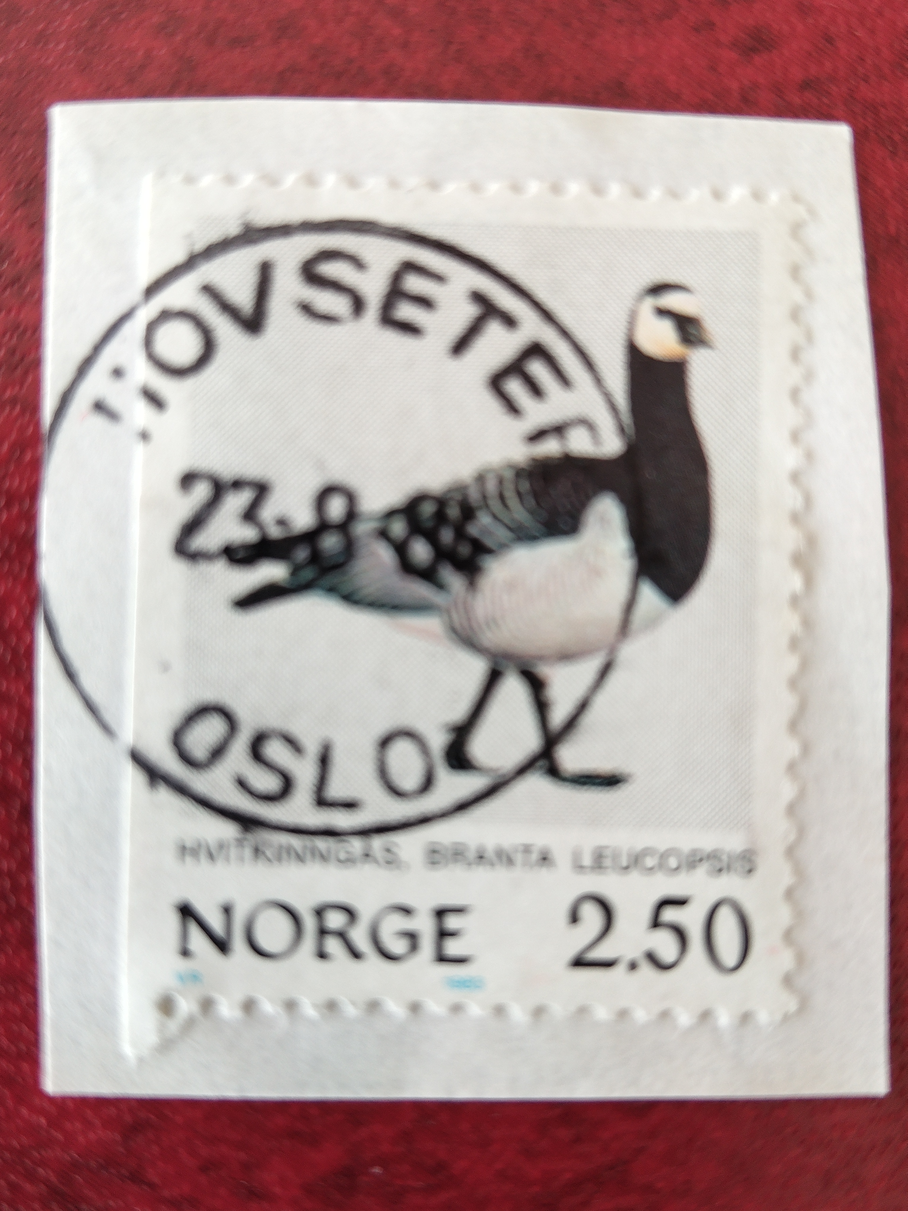 Hovseter Oslo 23/8-1988