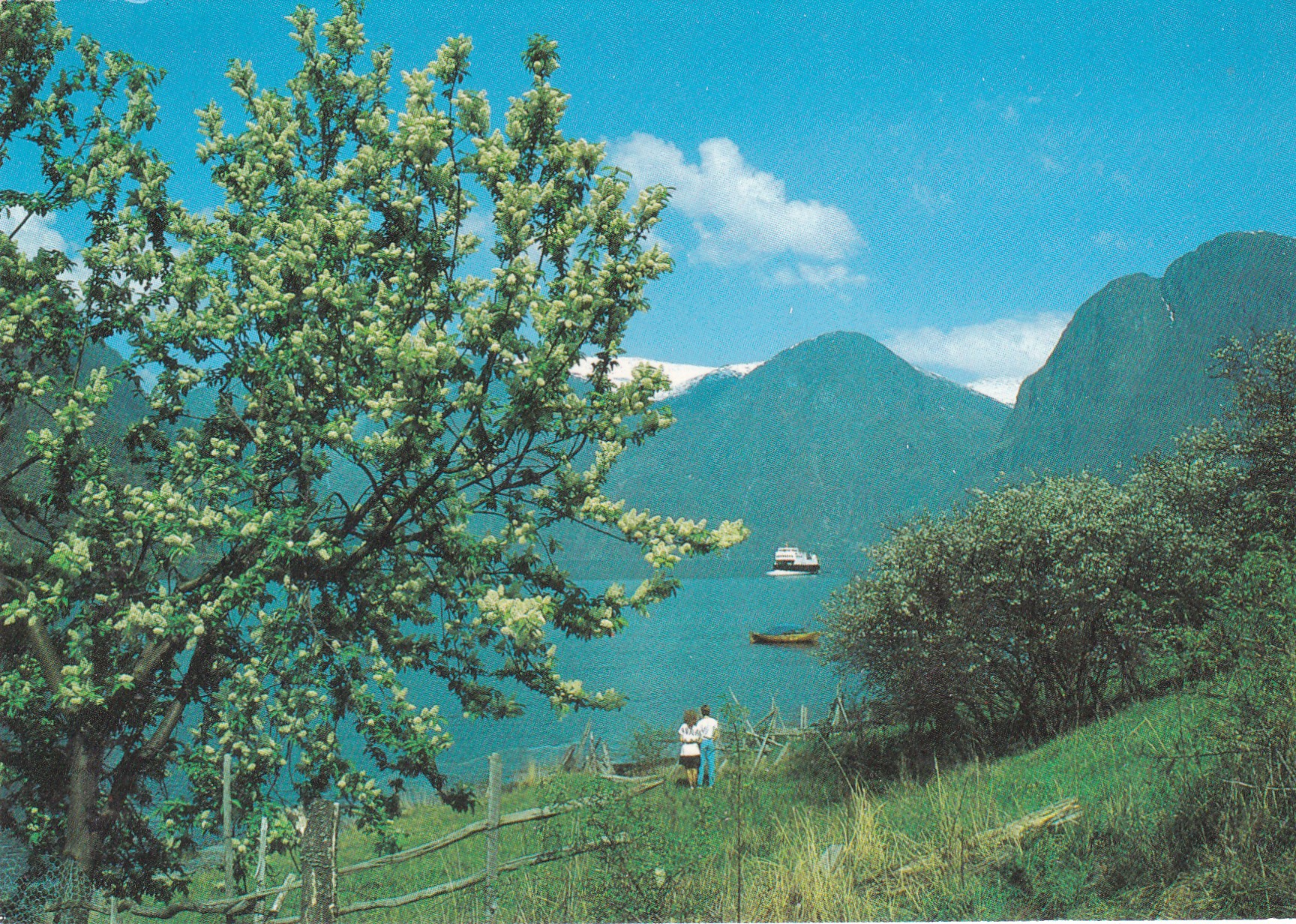 Sognefjorden. Fra turen Gudvangen-Aurland-Flåm. Bilferge