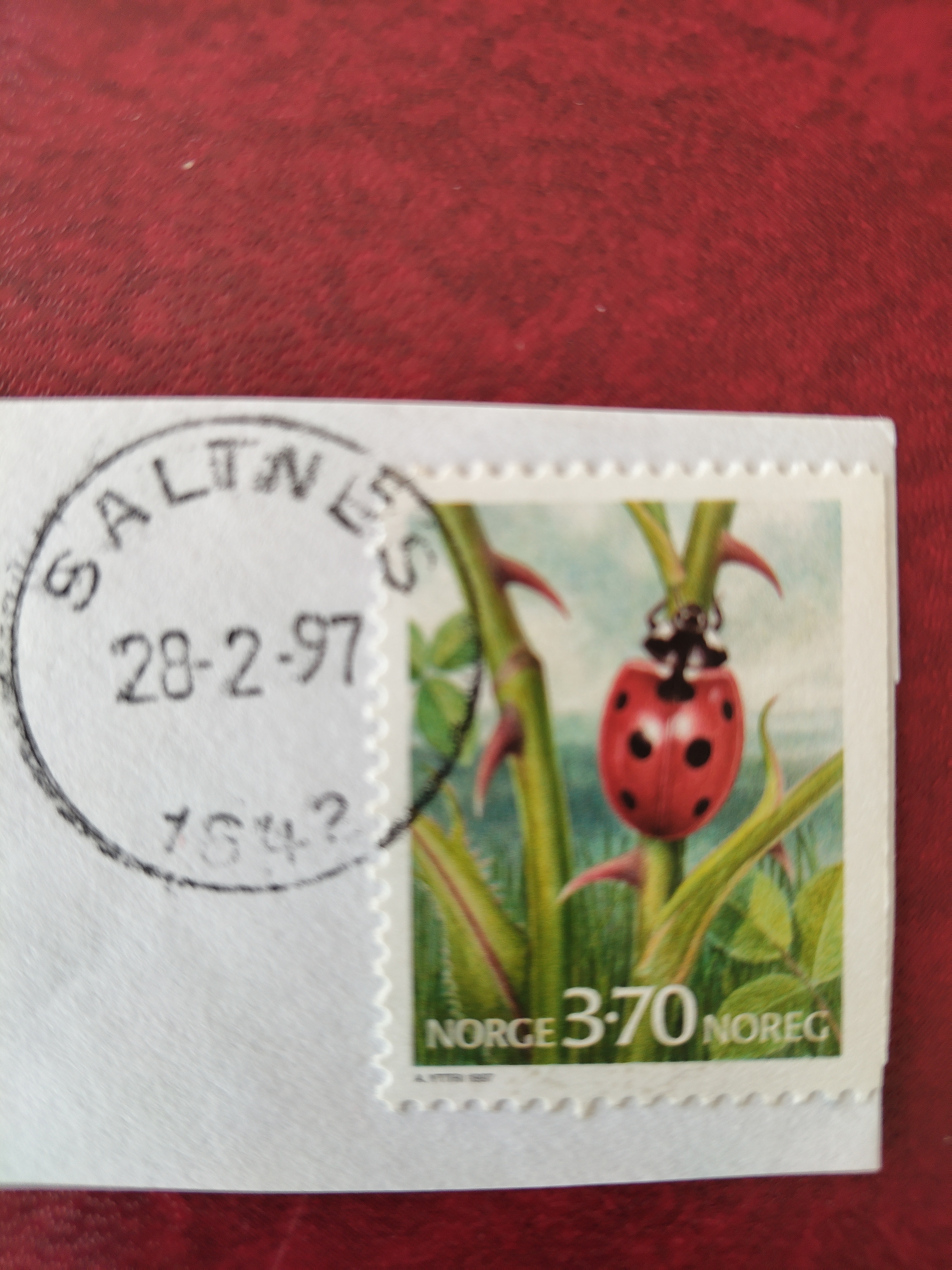 1642 Saltnes 28/2-1997