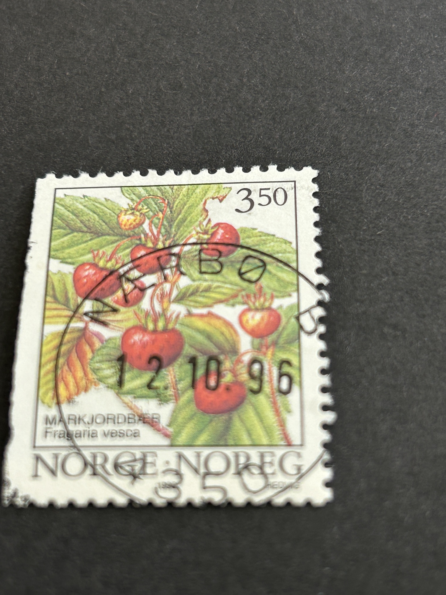 Nærbø. 12 10 96
