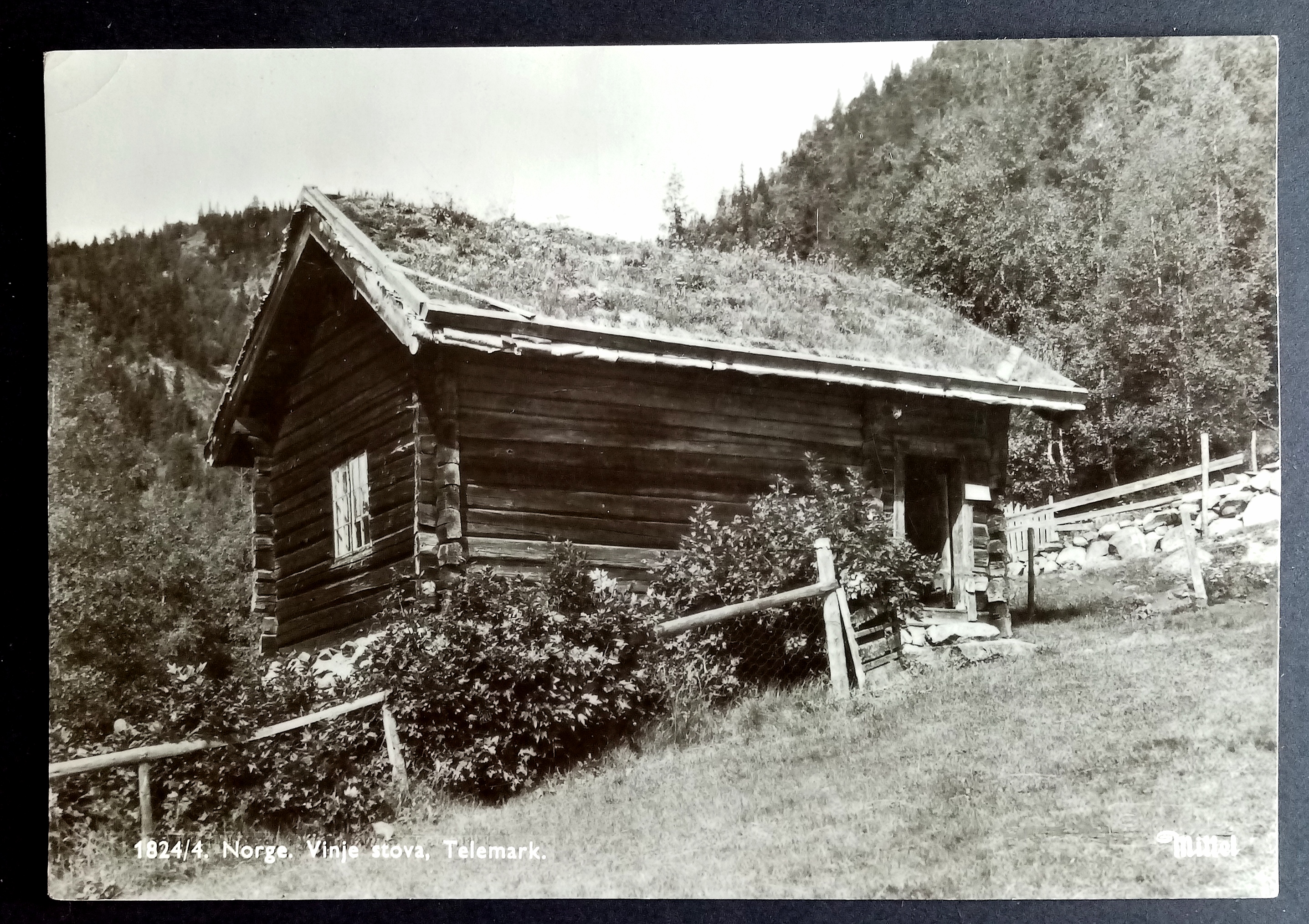 Norge - Vinje stova , Telemark.